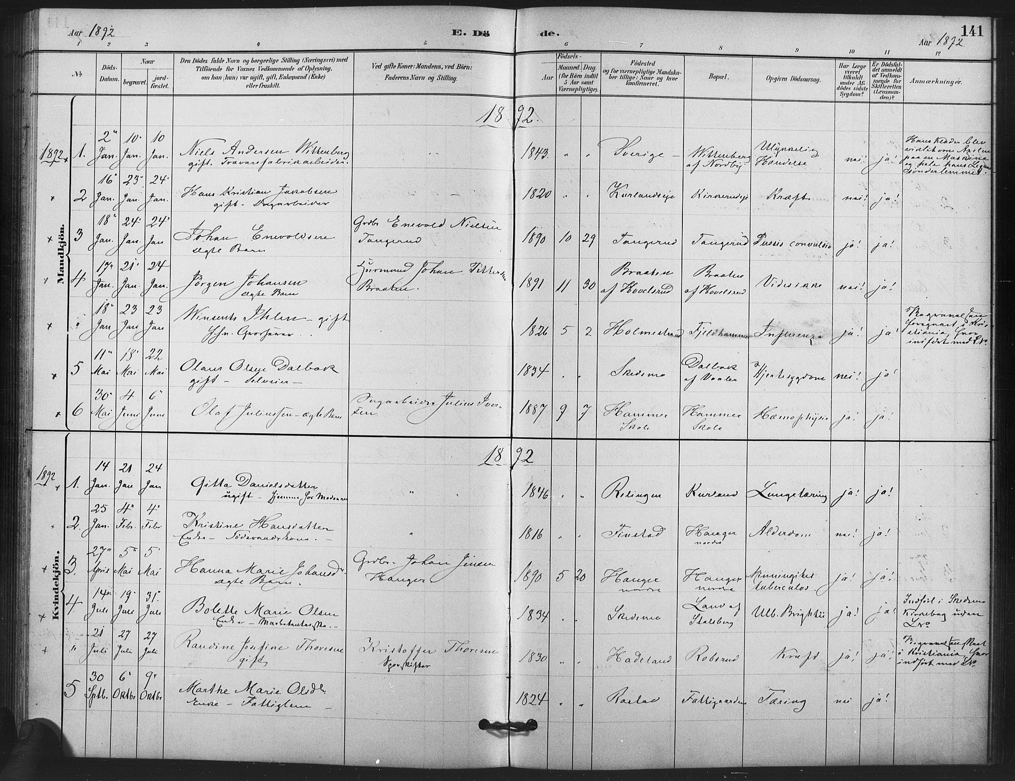 Skedsmo prestekontor Kirkebøker, AV/SAO-A-10033a/F/Fb/L0001: Parish register (official) no. II 1, 1883-1901, p. 141