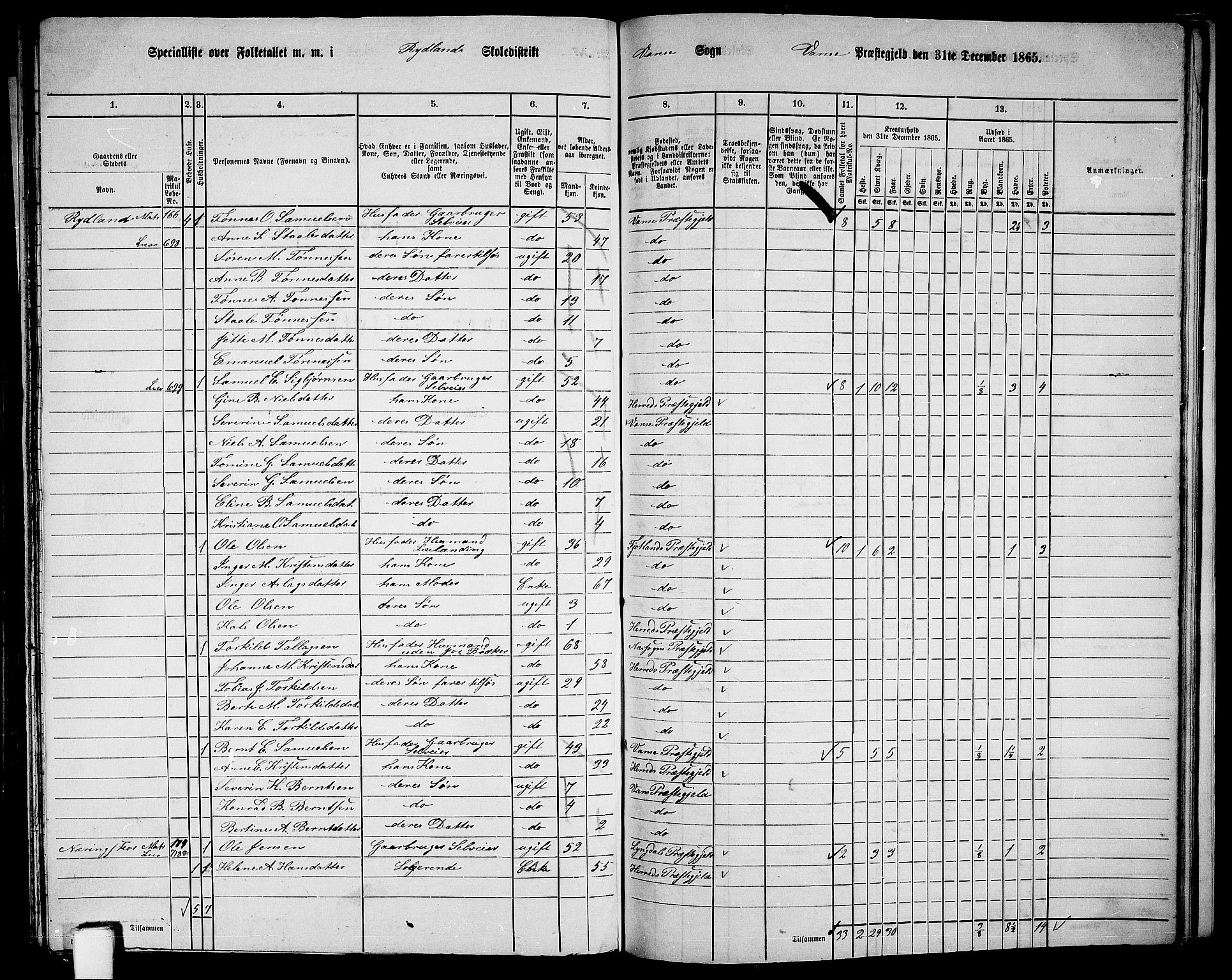 RA, 1865 census for Vanse/Vanse og Farsund, 1865, p. 243