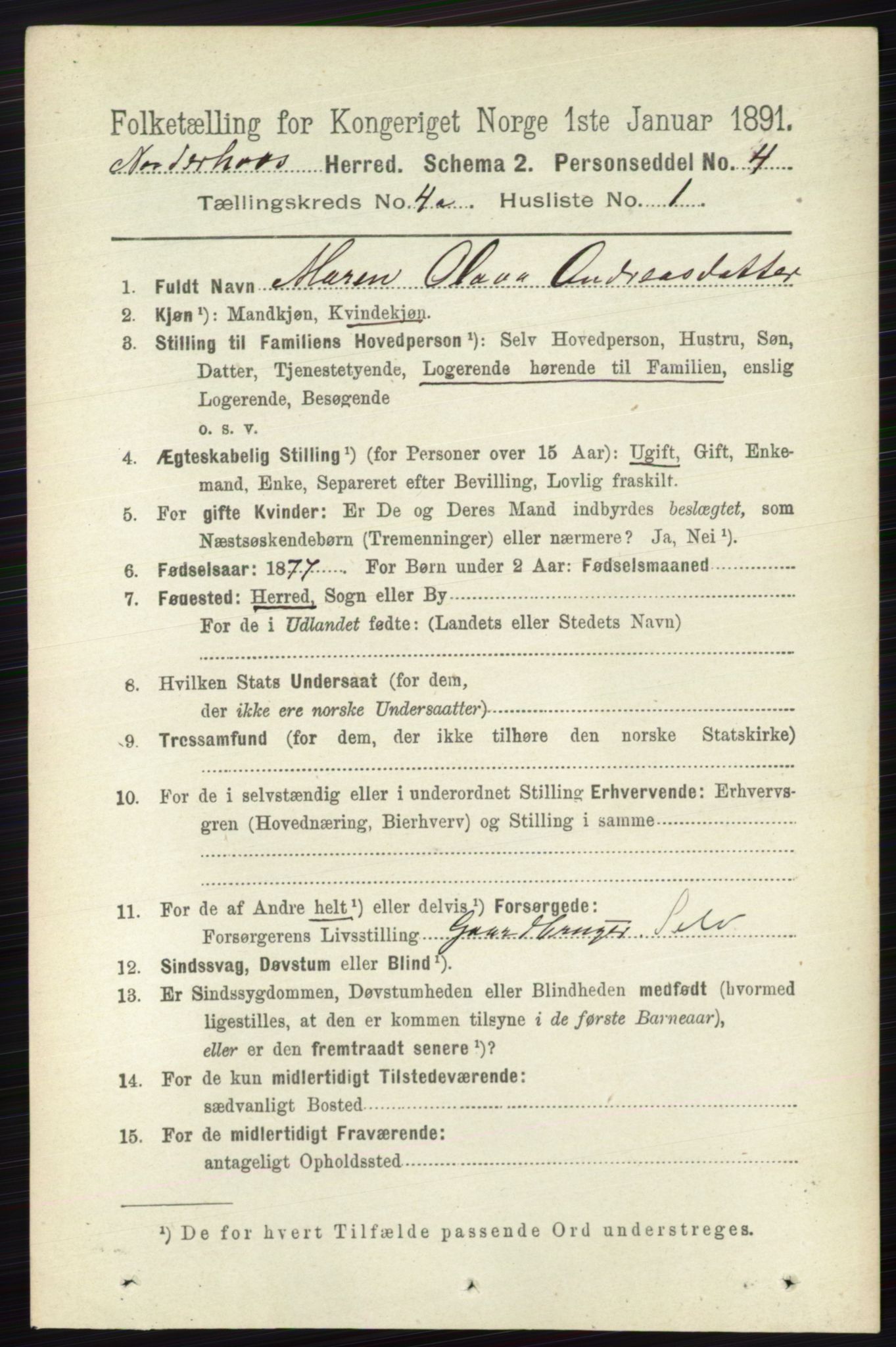 RA, 1891 census for 0613 Norderhov, 1891, p. 1718