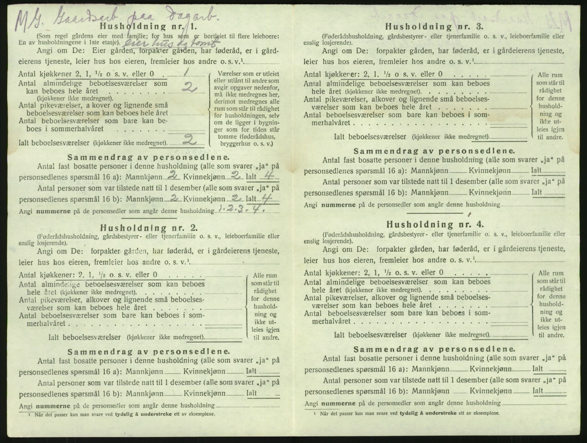 SAKO, 1920 census for Brunlanes, 1920, p. 1028