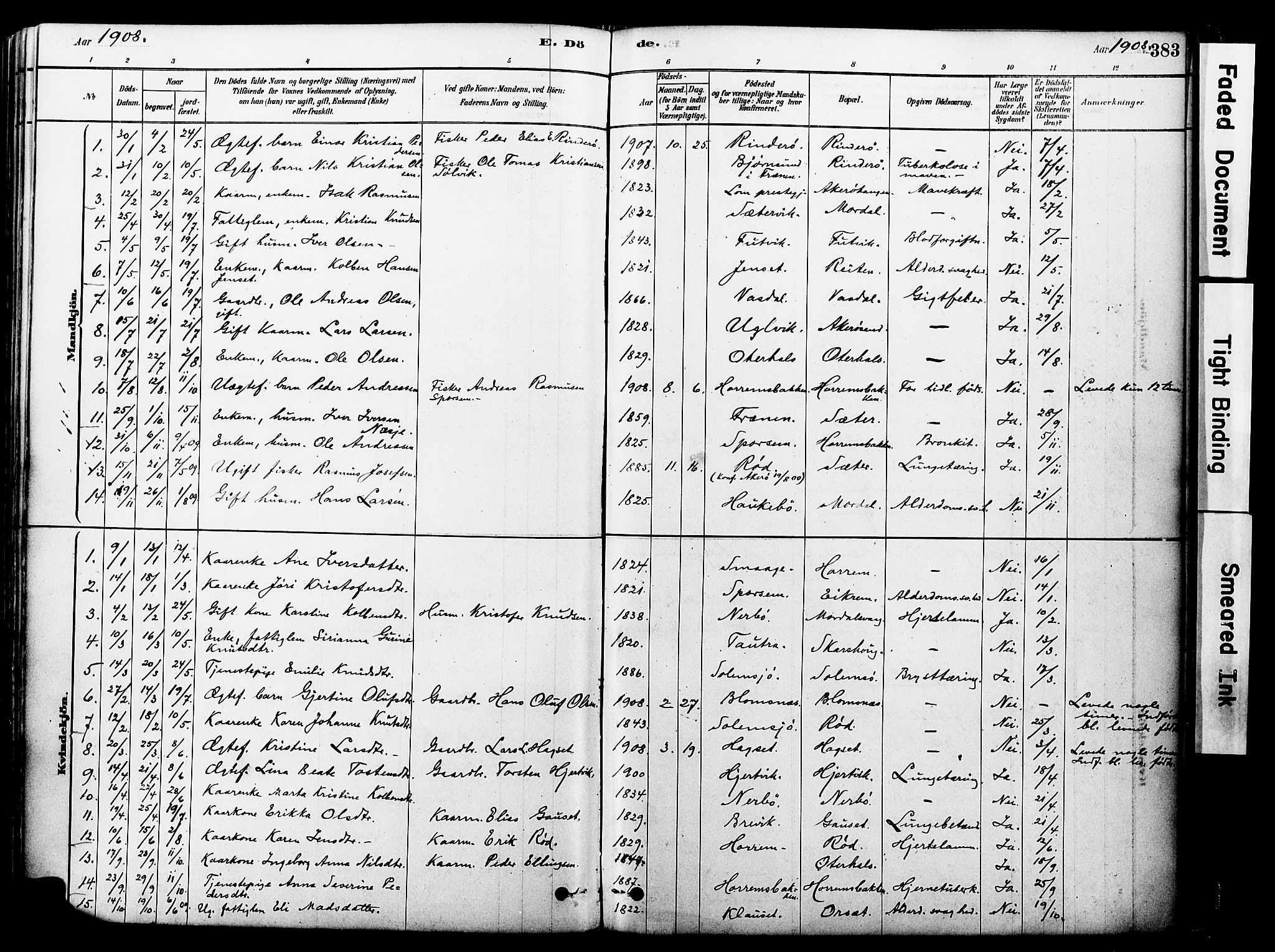 Ministerialprotokoller, klokkerbøker og fødselsregistre - Møre og Romsdal, SAT/A-1454/560/L0721: Parish register (official) no. 560A05, 1878-1917, p. 383