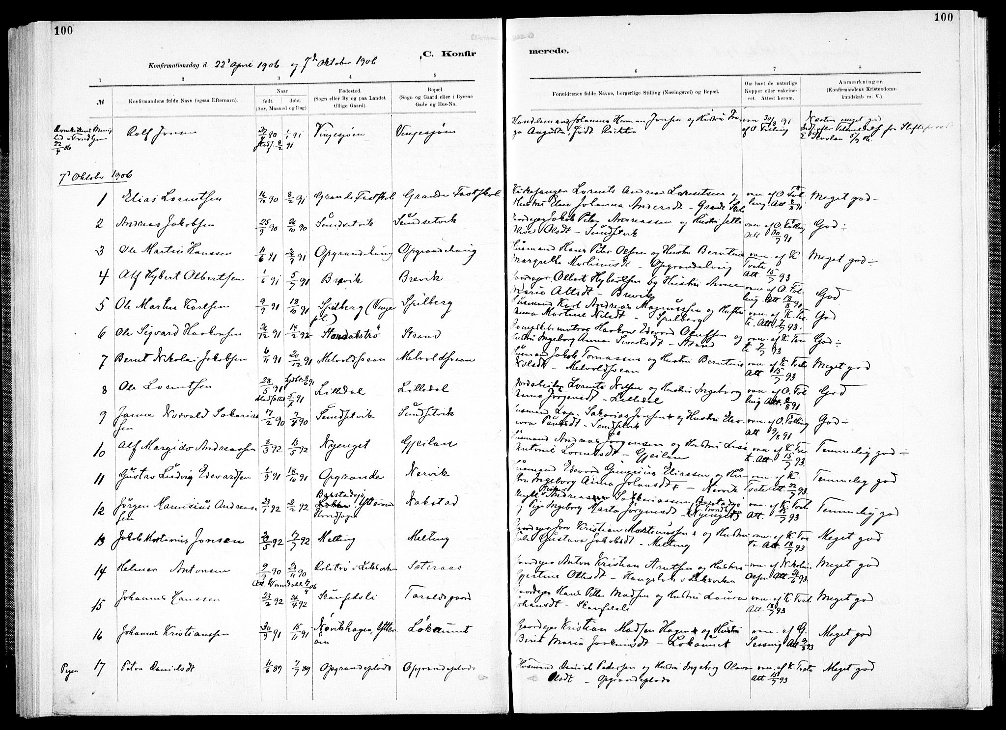 Ministerialprotokoller, klokkerbøker og fødselsregistre - Nord-Trøndelag, AV/SAT-A-1458/733/L0325: Parish register (official) no. 733A04, 1884-1908, p. 100