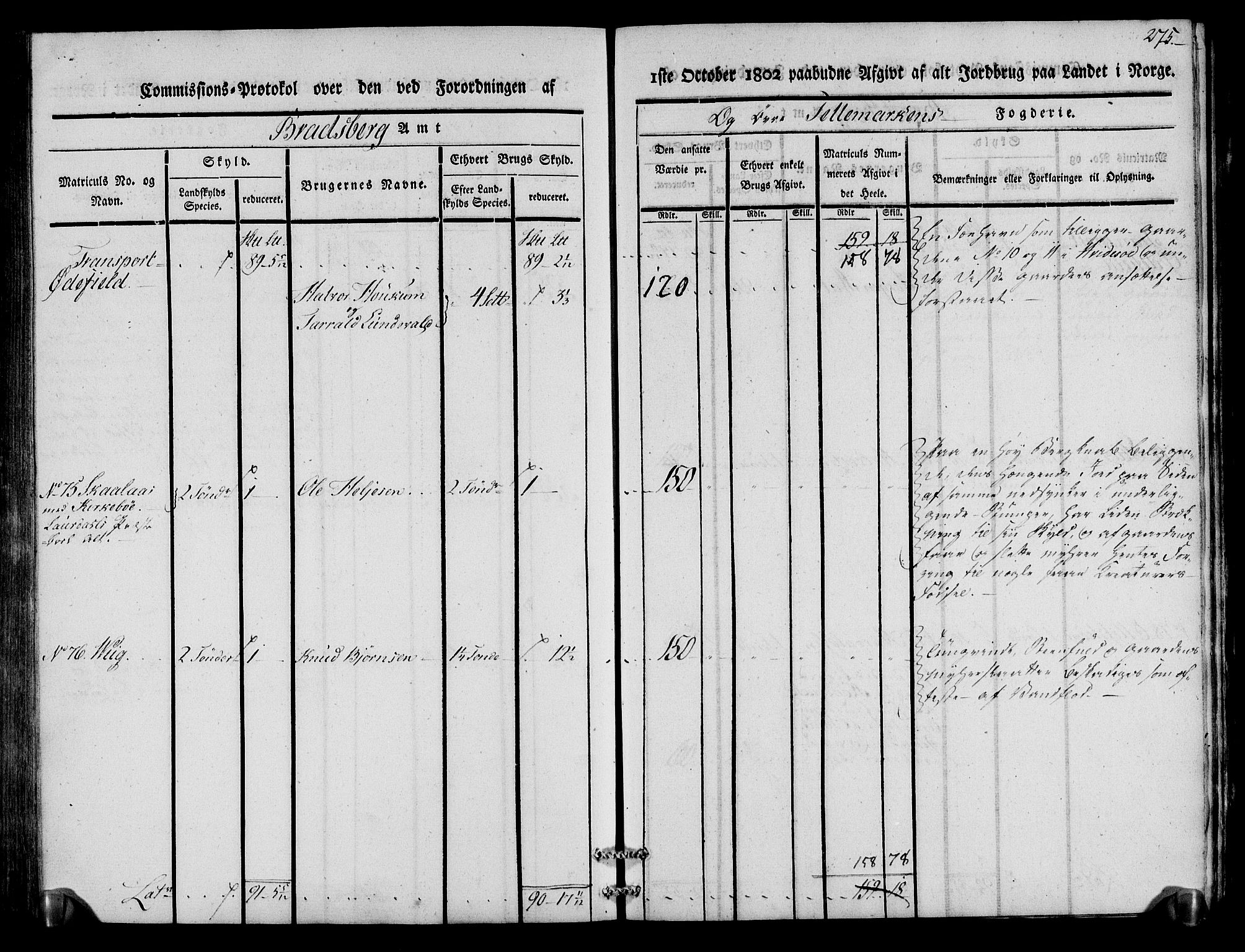 Rentekammeret inntil 1814, Realistisk ordnet avdeling, AV/RA-EA-4070/N/Ne/Nea/L0075: Øvre Telemarken fogderi. Kommisjonsprotokoll for fogderiets vestre del - Kviteseid, Vinje, Moland [):Fyresdal] og Lårdal prestegjeld., 1803, p. 277