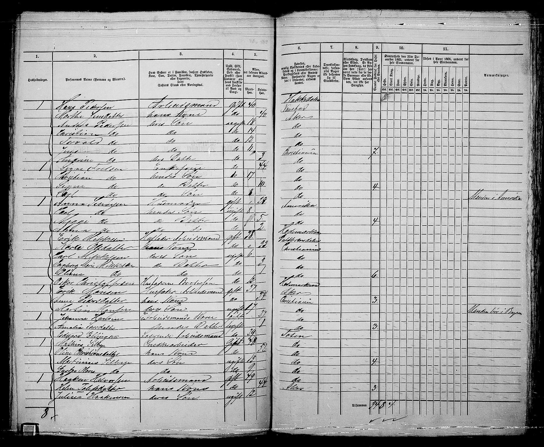 RA, 1865 census for Kristiania, 1865, p. 5218