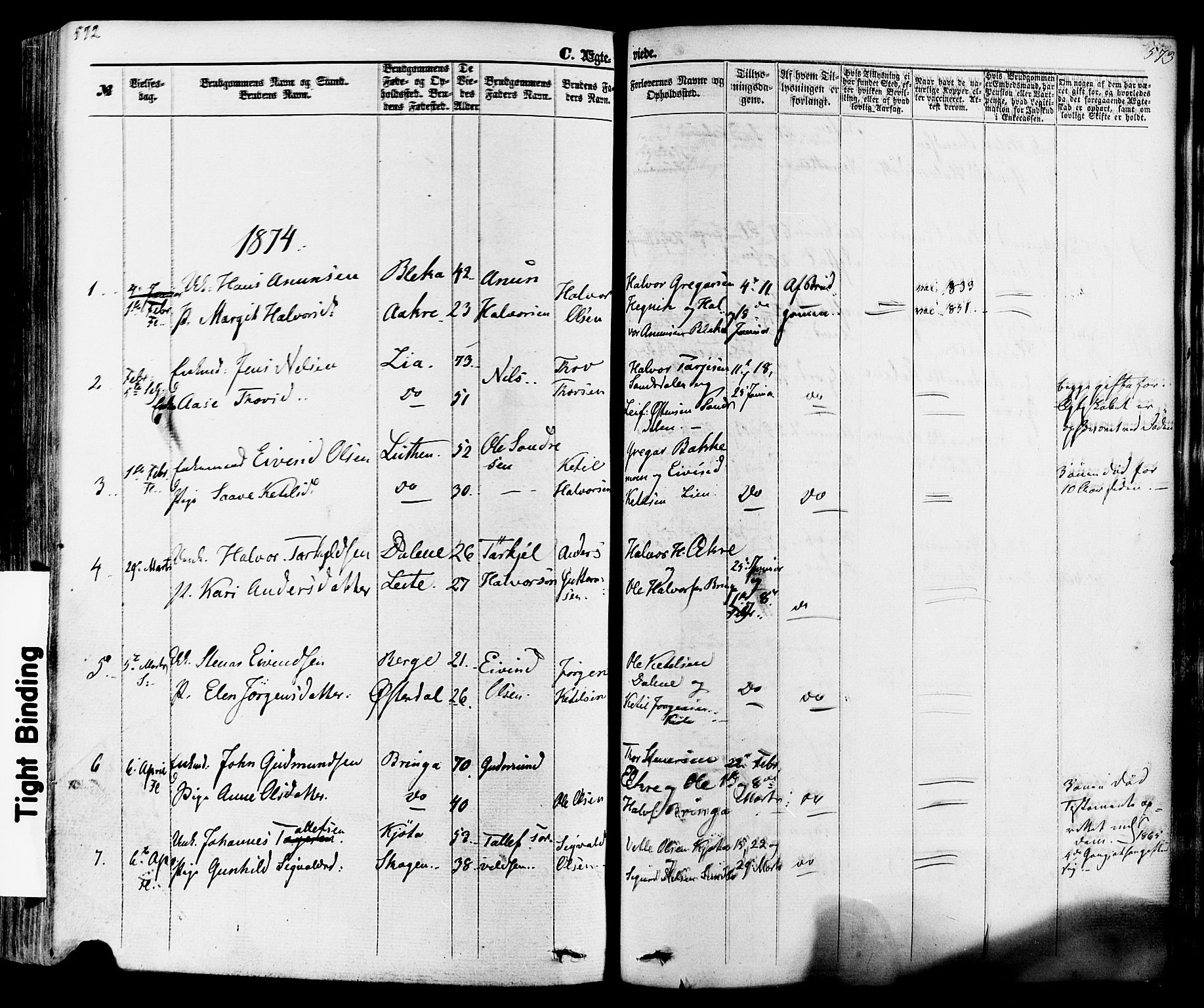 Seljord kirkebøker, SAKO/A-20/F/Fa/L0013: Parish register (official) no. I 13, 1866-1876, p. 572-573