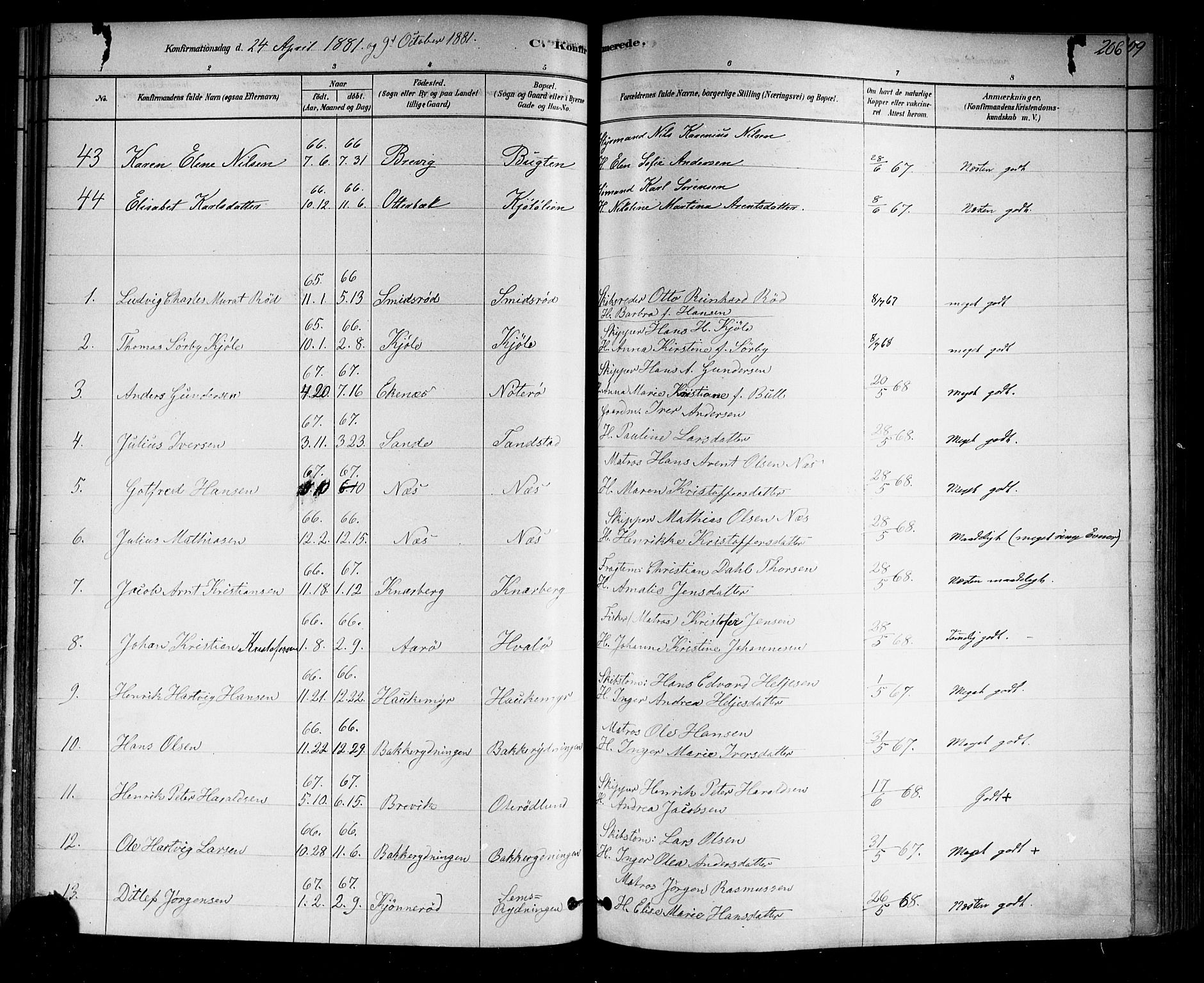 Nøtterøy kirkebøker, AV/SAKO-A-354/F/Fa/L0008: Parish register (official) no. I 8, 1878-1893, p. 206