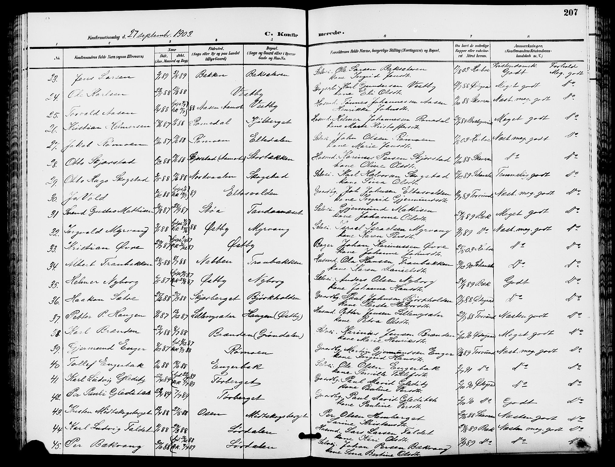 Trysil prestekontor, SAH/PREST-046/H/Ha/Hab/L0006: Parish register (copy) no. 6, 1896-1912, p. 207