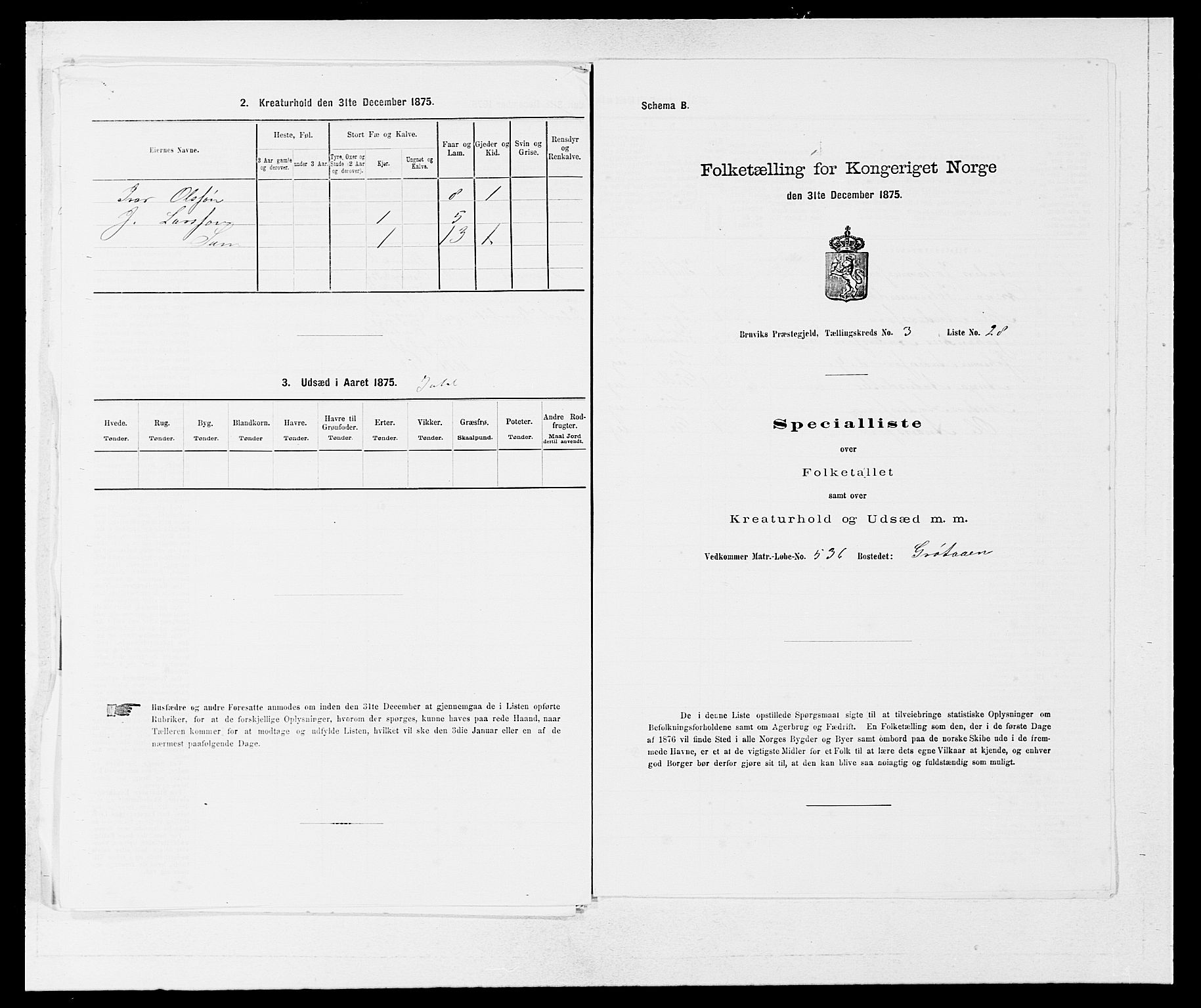 SAB, 1875 census for 1251P Bruvik, 1875, p. 249