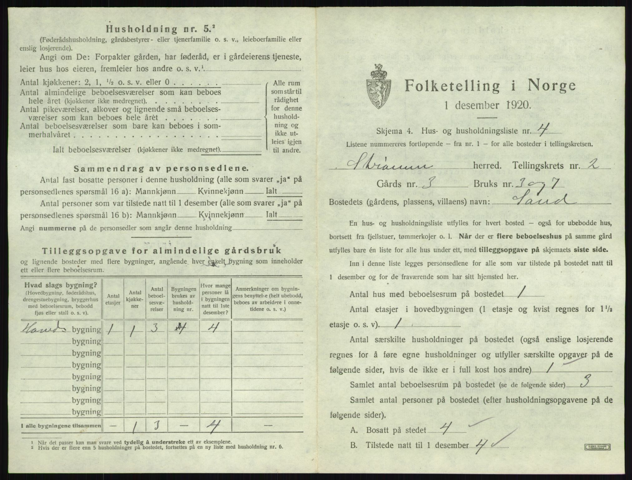 SAKO, 1920 census for Strømm, 1920, p. 145