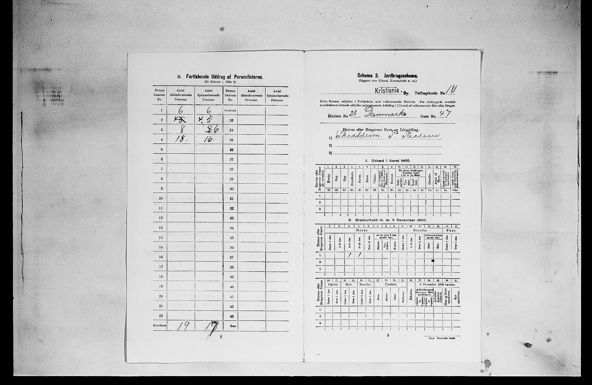 SAO, 1900 census for Kristiania, 1900, p. 15331