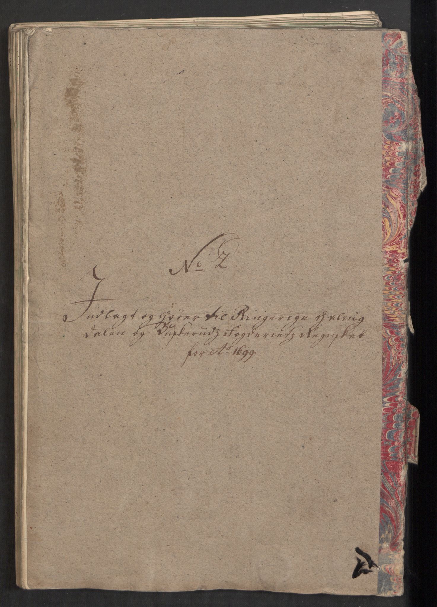 Rentekammeret inntil 1814, Reviderte regnskaper, Fogderegnskap, RA/EA-4092/R22/L1456: Fogderegnskap Ringerike, Hallingdal og Buskerud, 1699, p. 224