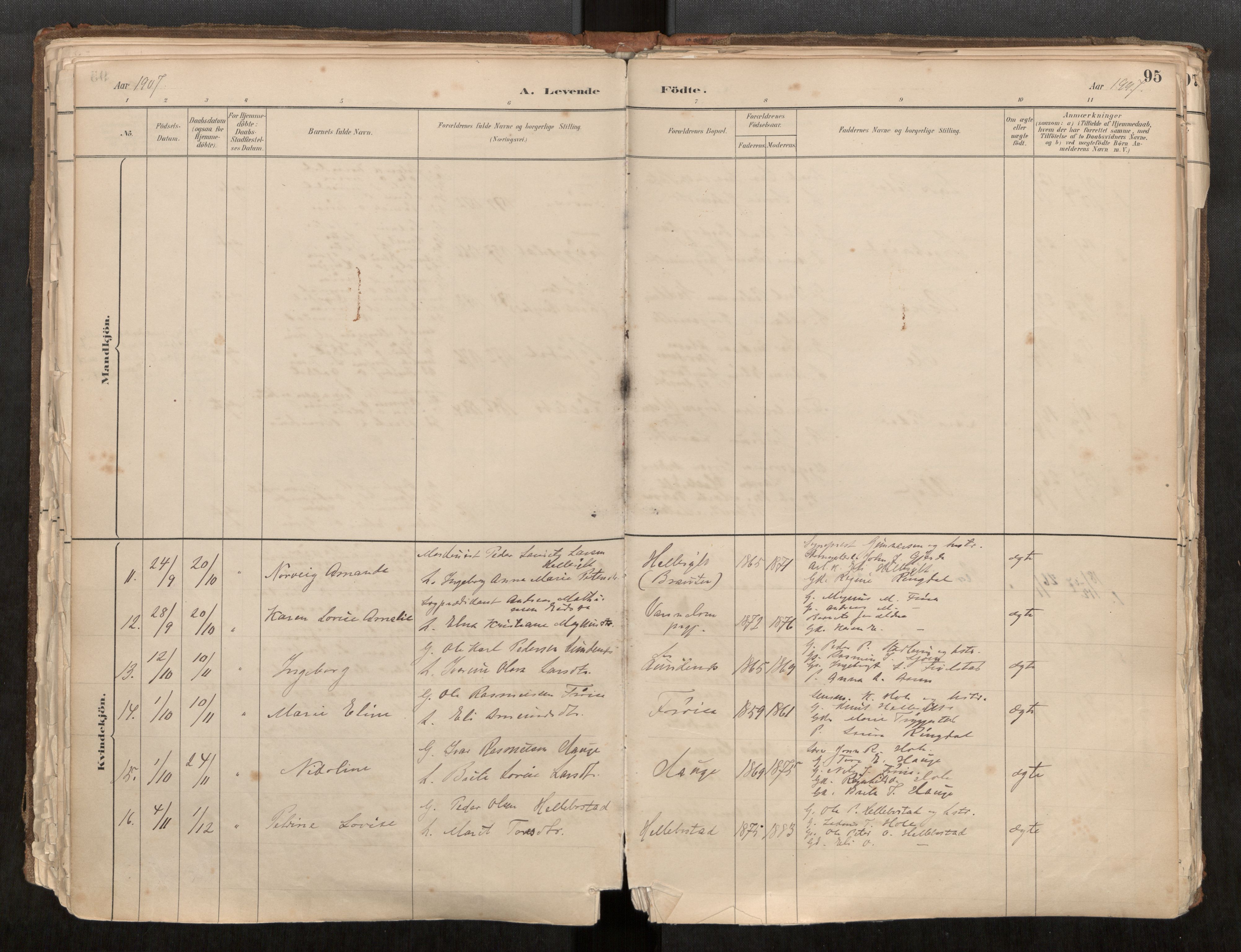 Sunnylven sokneprestkontor, AV/SAT-A-1007: Parish register (official) no. 517A08, 1882-1939, p. 95