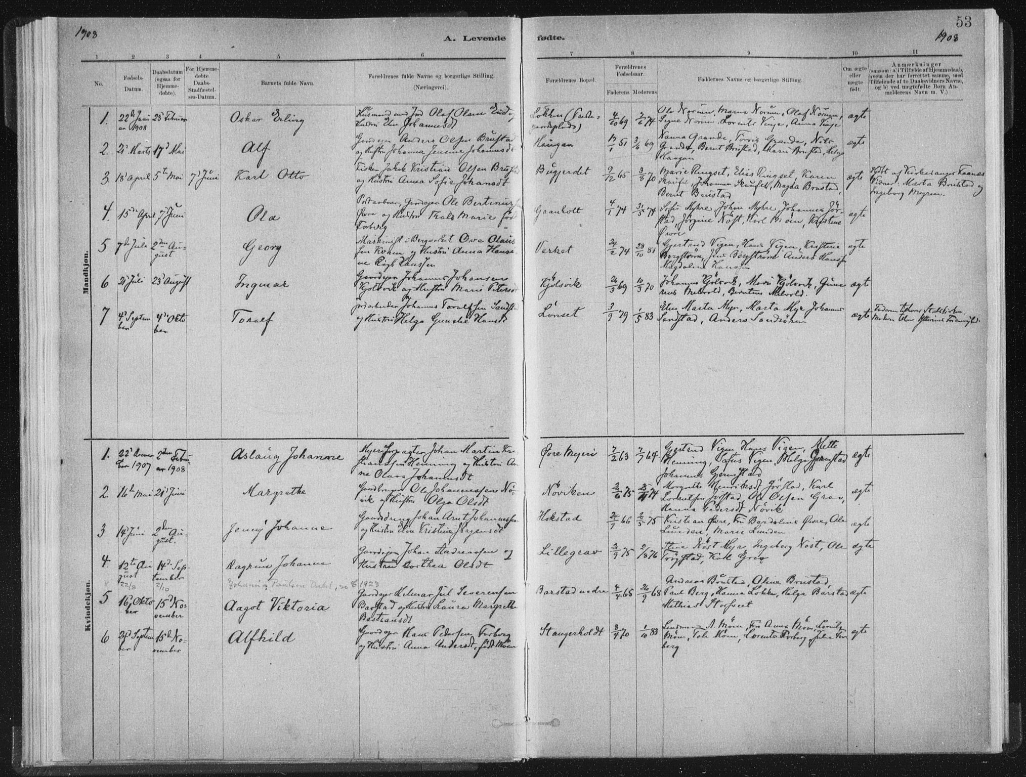 Ministerialprotokoller, klokkerbøker og fødselsregistre - Nord-Trøndelag, SAT/A-1458/722/L0220: Parish register (official) no. 722A07, 1881-1908, p. 53