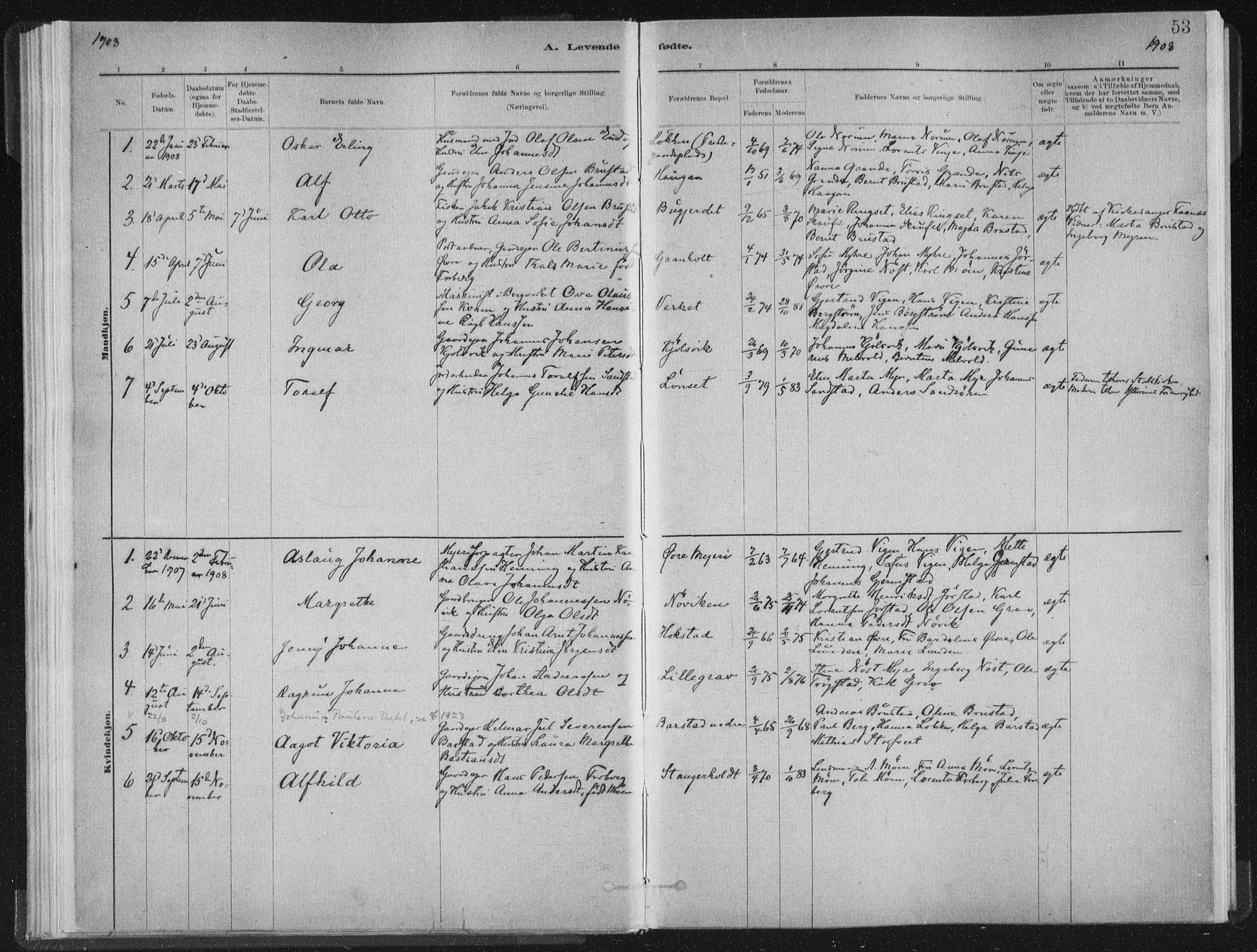 Ministerialprotokoller, klokkerbøker og fødselsregistre - Nord-Trøndelag, AV/SAT-A-1458/722/L0220: Parish register (official) no. 722A07, 1881-1908, p. 53