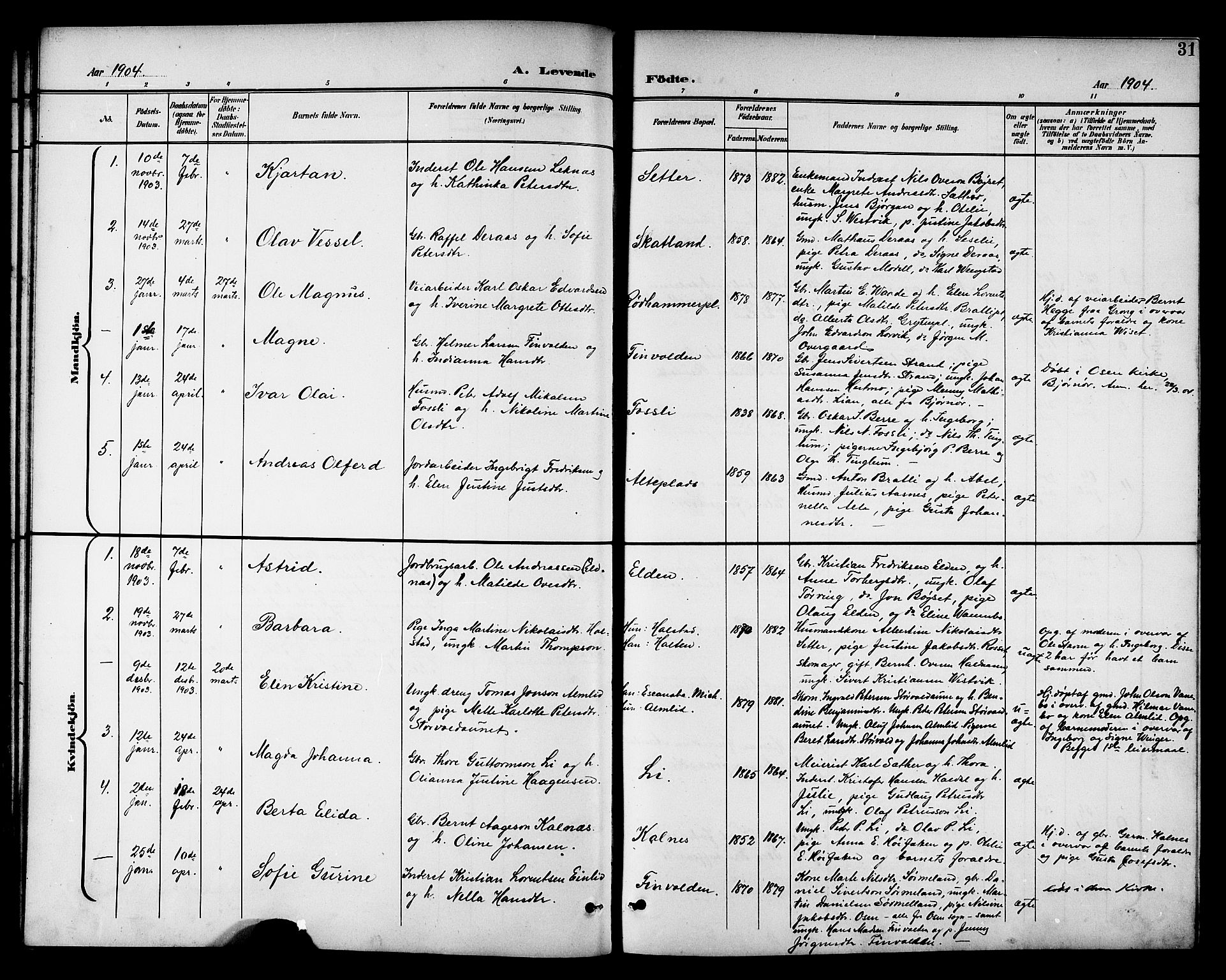Ministerialprotokoller, klokkerbøker og fødselsregistre - Nord-Trøndelag, SAT/A-1458/742/L0412: Parish register (copy) no. 742C03, 1898-1910, p. 31