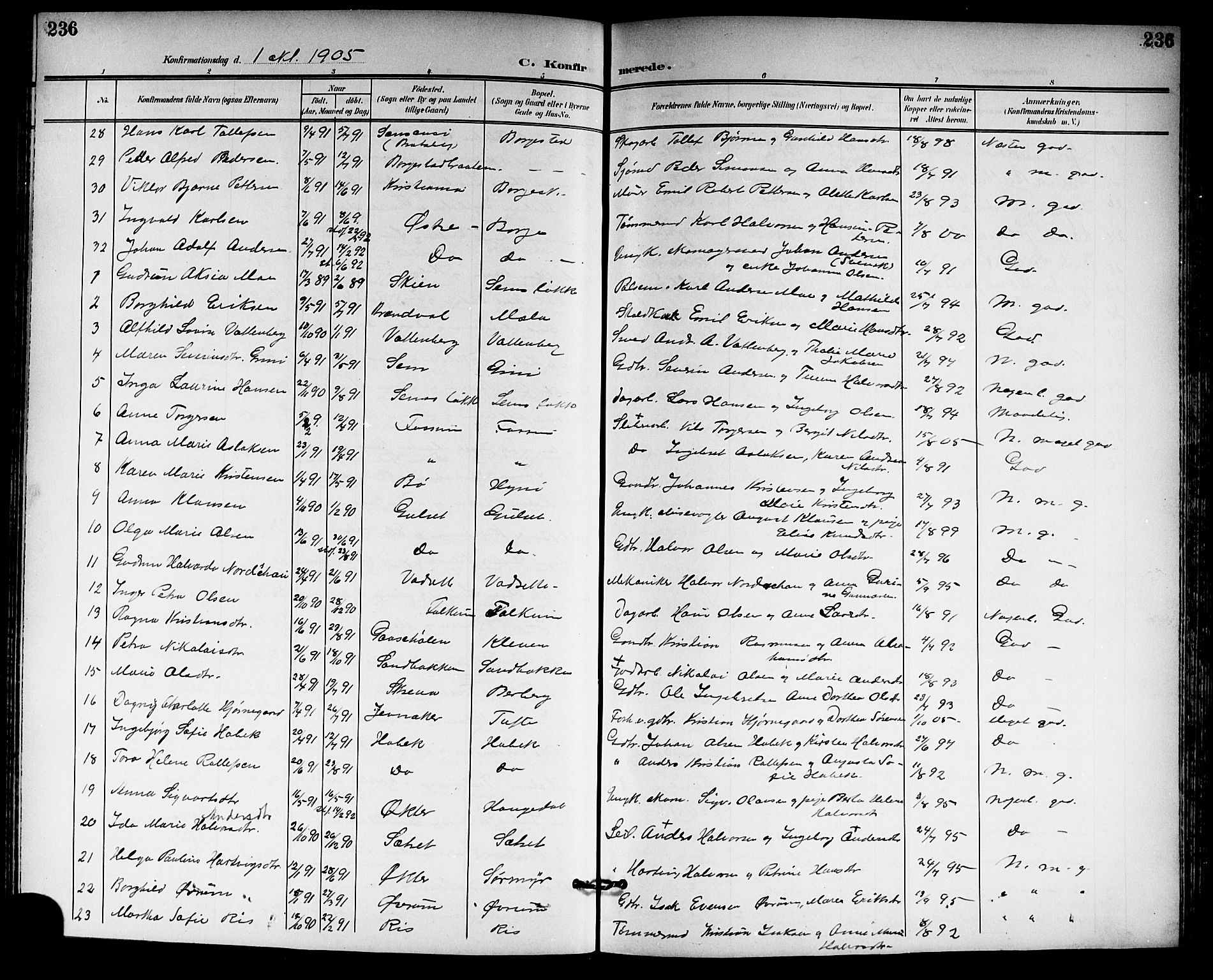 Gjerpen kirkebøker, SAKO/A-265/G/Ga/L0003: Parish register (copy) no. I 3, 1901-1919, p. 236