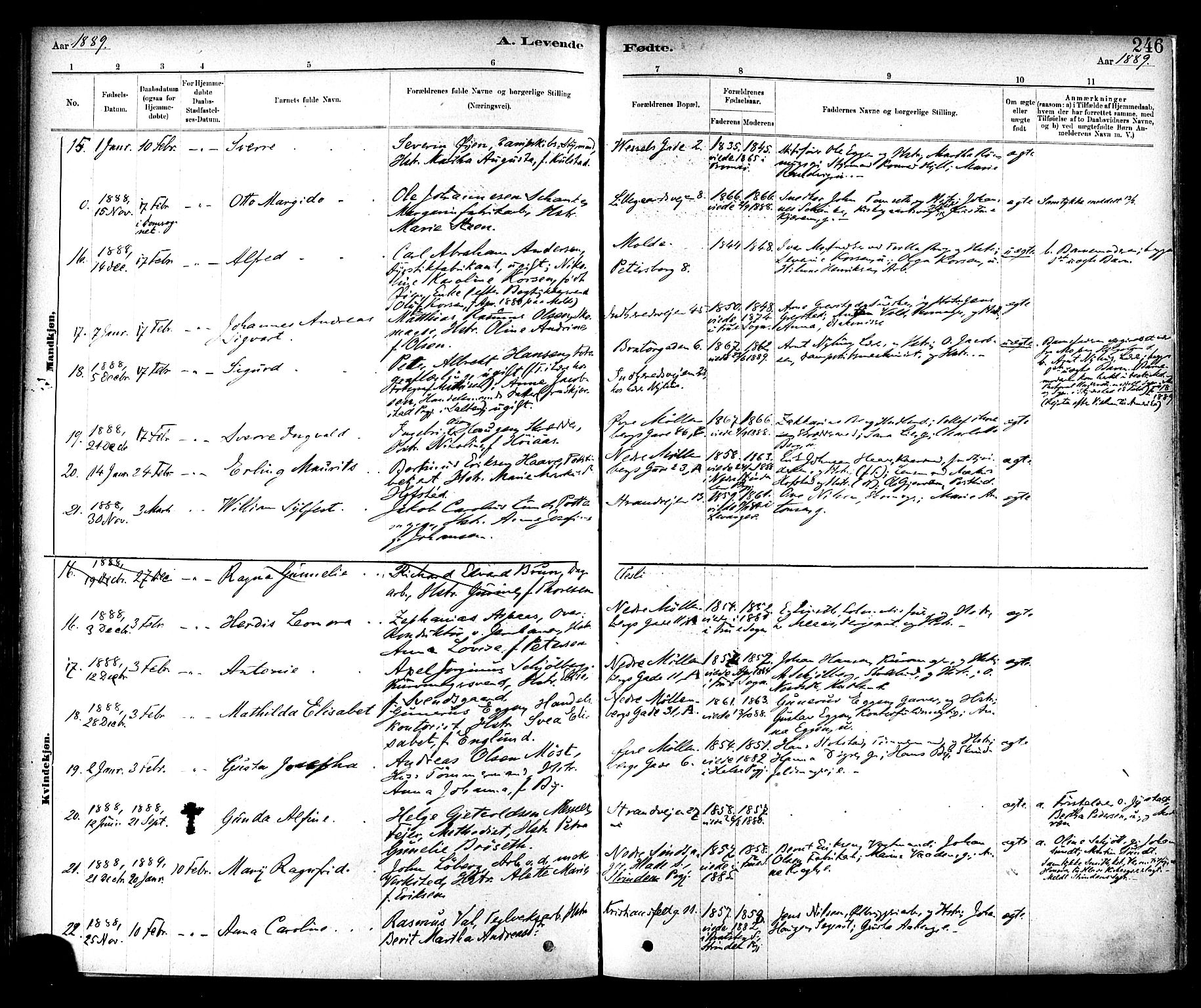 Ministerialprotokoller, klokkerbøker og fødselsregistre - Sør-Trøndelag, AV/SAT-A-1456/604/L0188: Parish register (official) no. 604A09, 1878-1892, p. 246