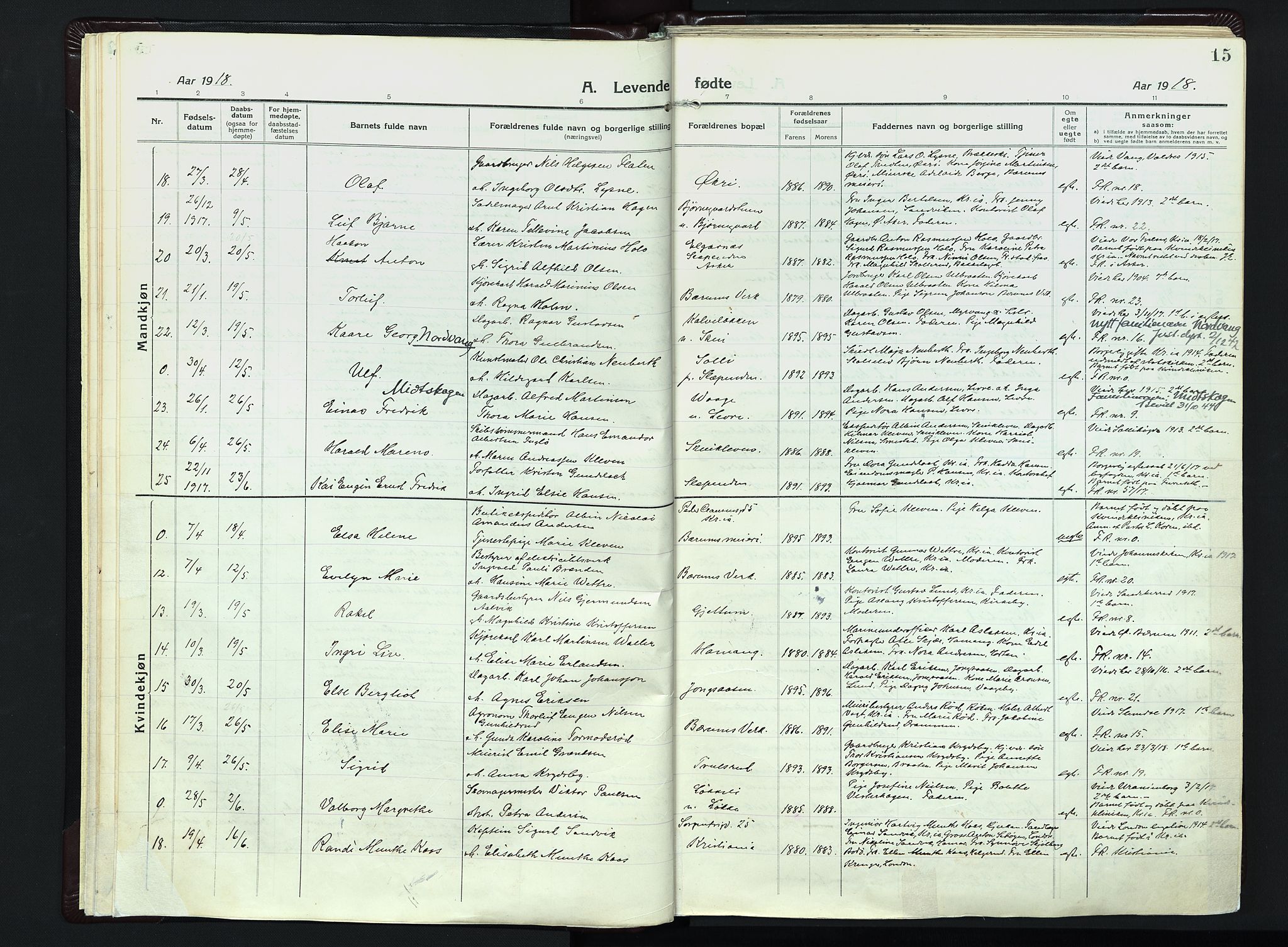 Vestre Bærum prestekontor Kirkebøker, SAO/A-10209a/F/Fa/L0003: Parish register (official) no. 3, 1916-1930, p. 15