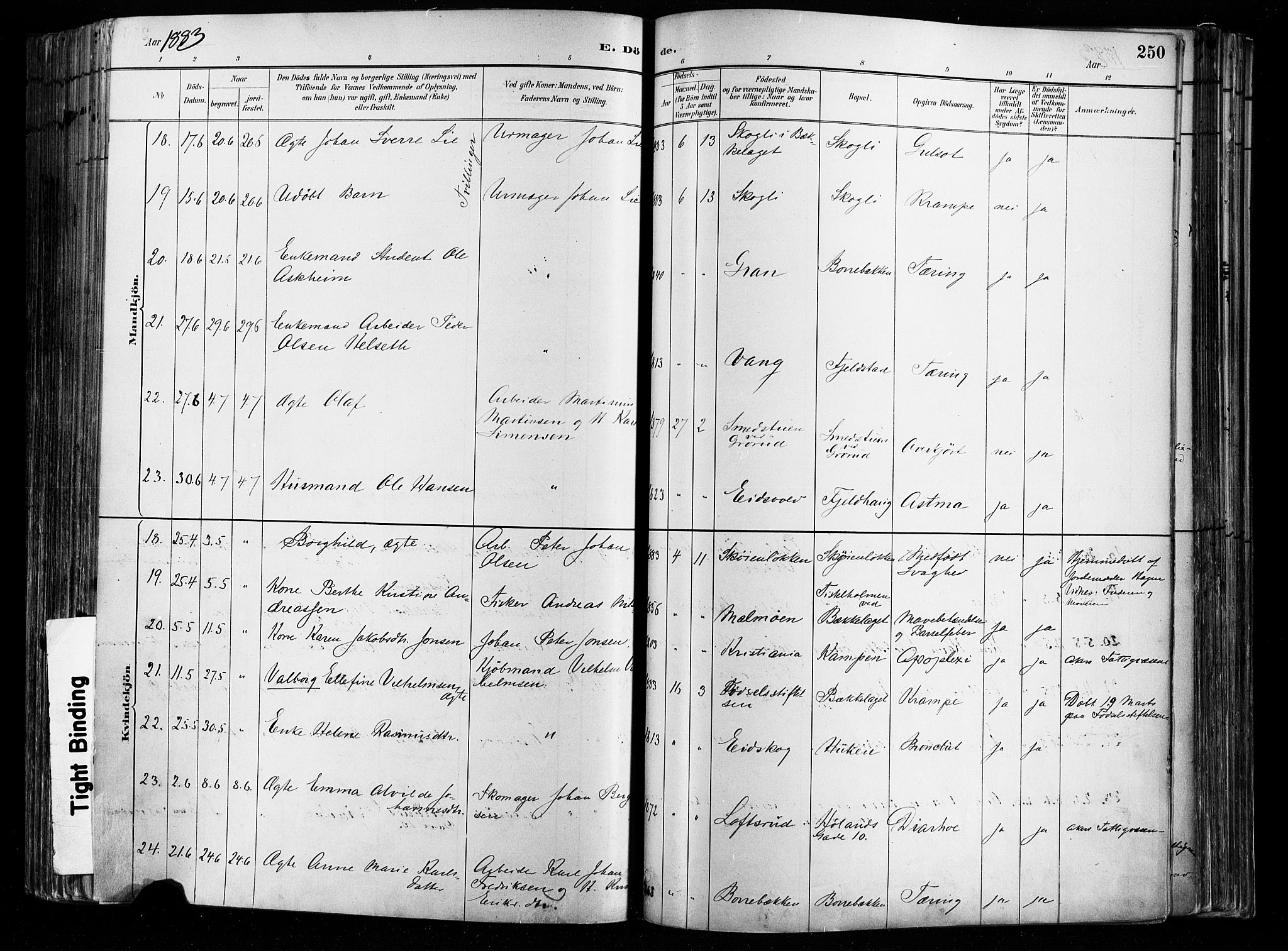 Østre Aker prestekontor Kirkebøker, AV/SAO-A-10840/F/Fa/L0008: Parish register (official) no. I 8, 1883-1894, p. 250