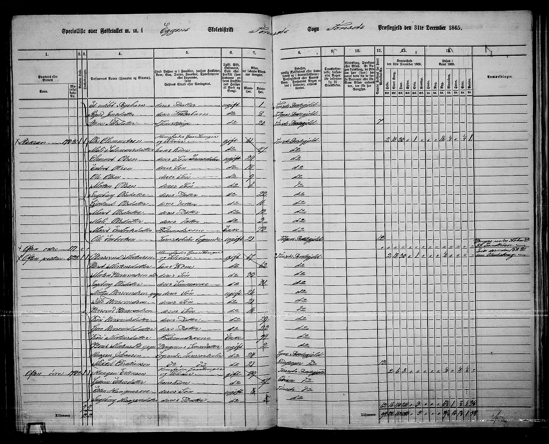 RA, 1865 census for Tynset, 1865, p. 83