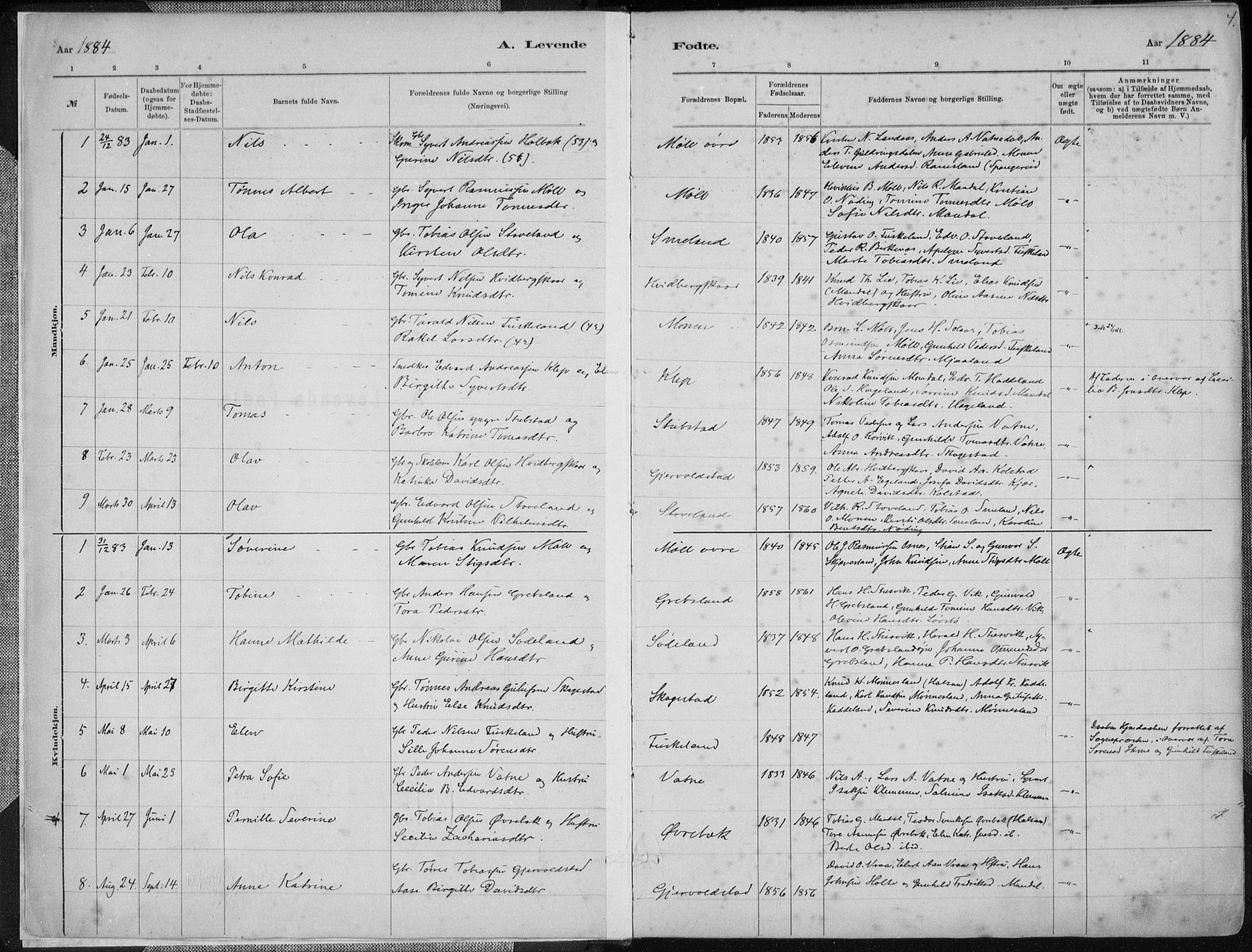 Holum sokneprestkontor, SAK/1111-0022/F/Fa/Faa/L0007: Parish register (official) no. A 7, 1884-1907, p. 4