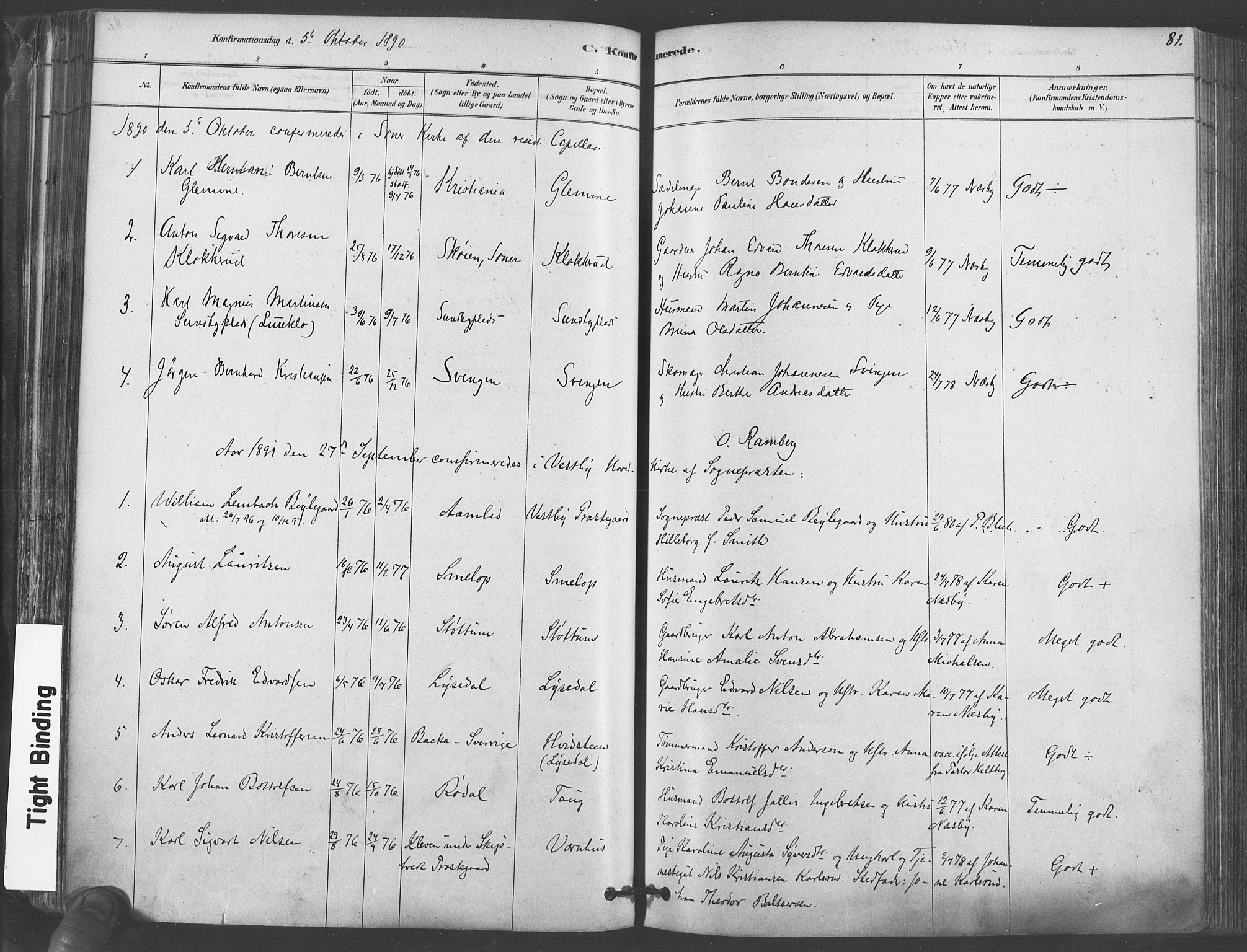 Vestby prestekontor Kirkebøker, AV/SAO-A-10893/F/Fa/L0009: Parish register (official) no. I 9, 1878-1900, p. 81