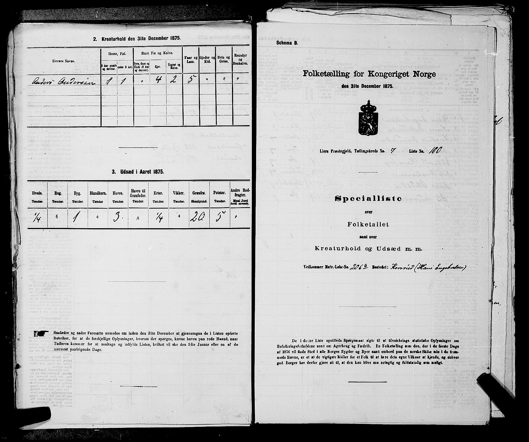 SAKO, 1875 census for 0626P Lier, 1875, p. 1299