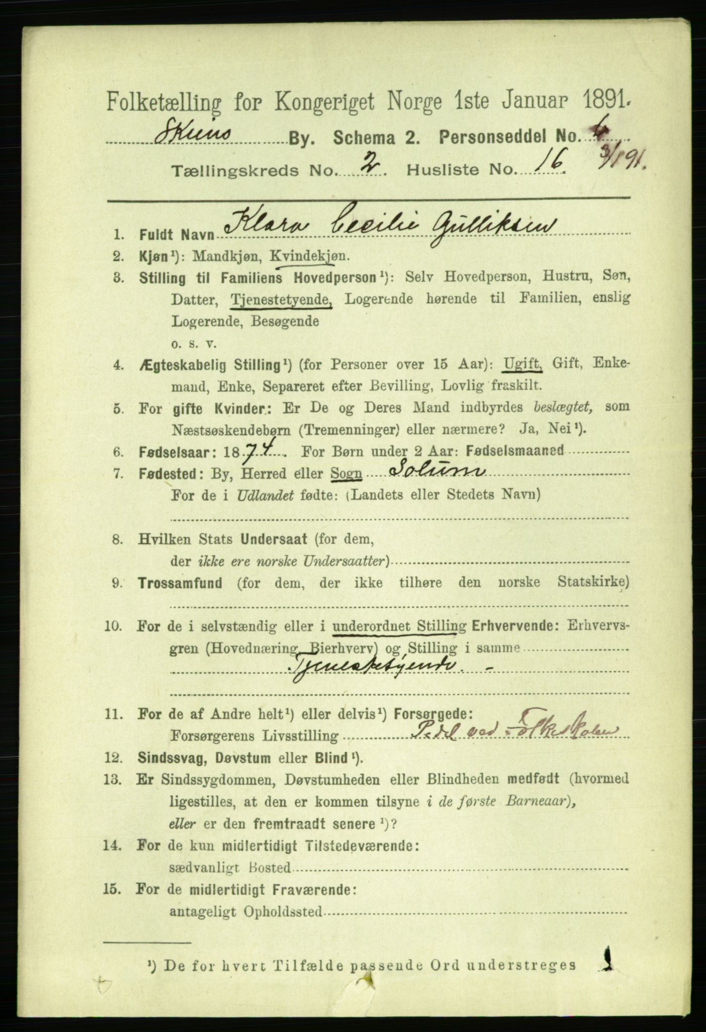 RA, 1891 census for 0806 Skien, 1891, p. 2462