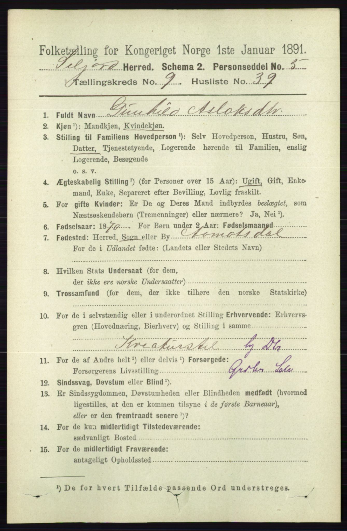 RA, 1891 census for 0828 Seljord, 1891, p. 3386