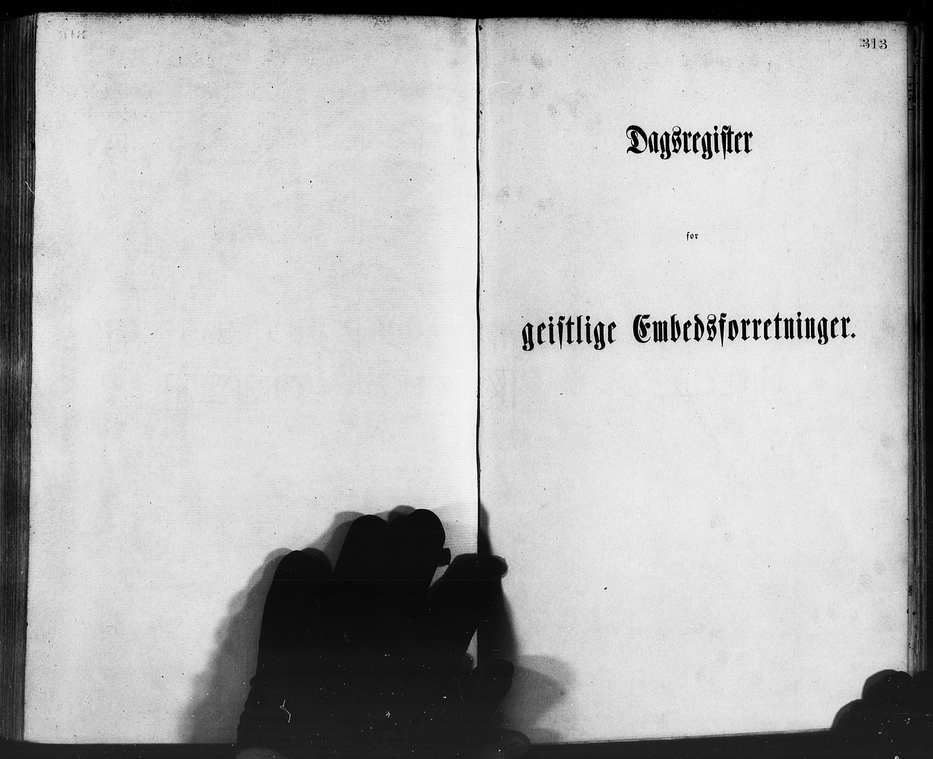 Manger sokneprestembete, AV/SAB-A-76801/H/Haa: Parish register (official) no. A 8, 1871-1880, p. 313