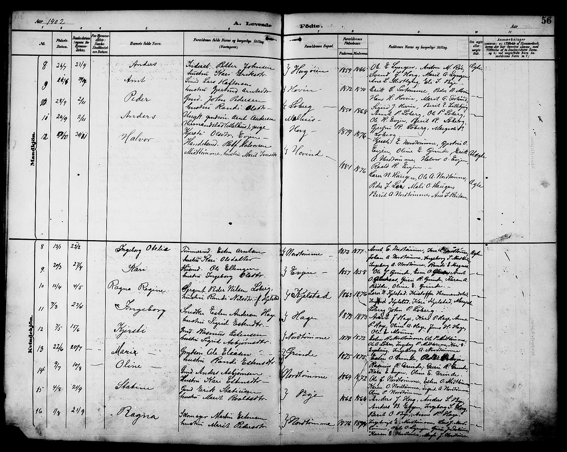 Ministerialprotokoller, klokkerbøker og fødselsregistre - Sør-Trøndelag, SAT/A-1456/692/L1111: Parish register (copy) no. 692C06, 1890-1904, p. 56