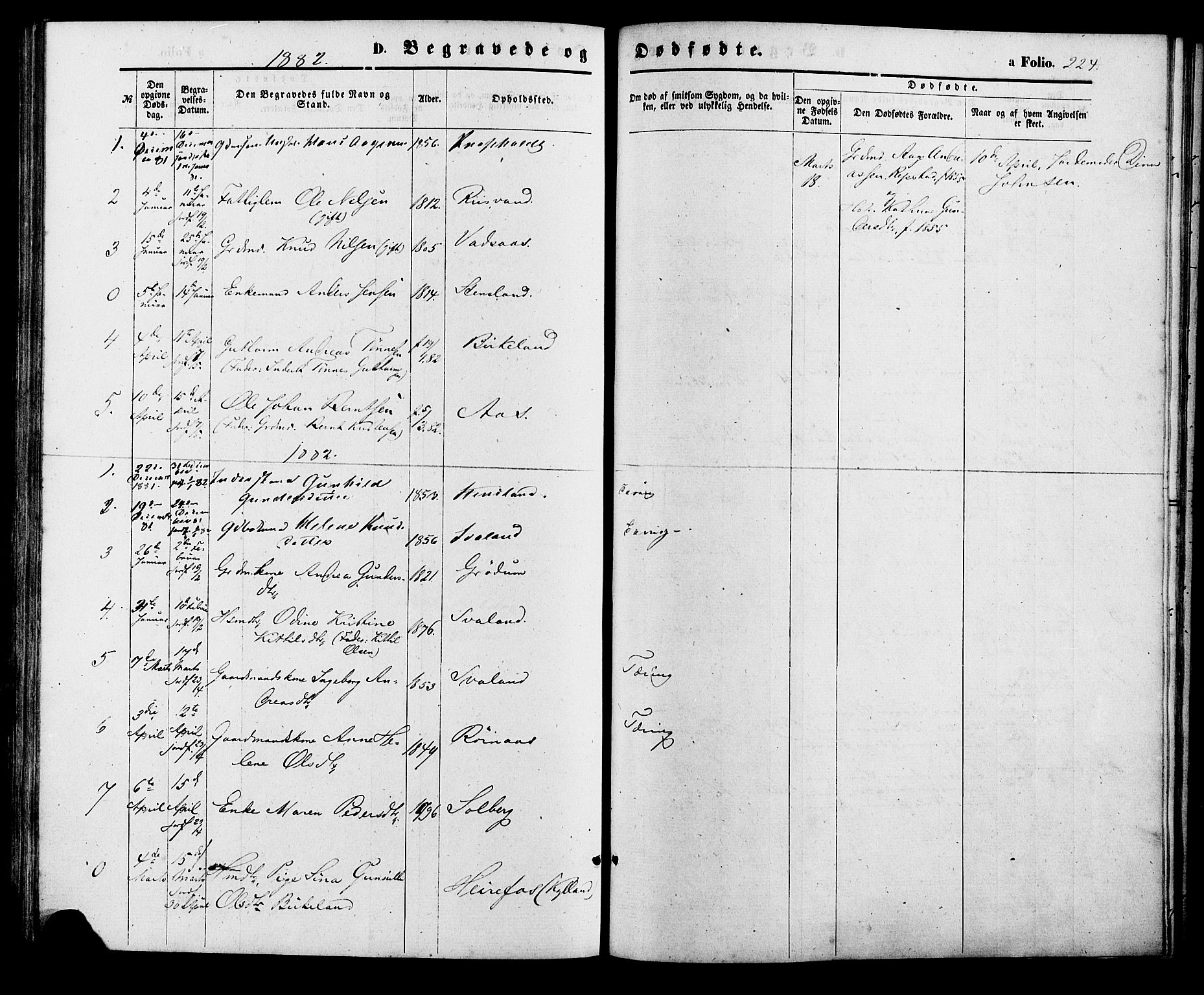 Birkenes sokneprestkontor, AV/SAK-1111-0004/F/Fa/L0004: Parish register (official) no. A 4, 1867-1886, p. 224