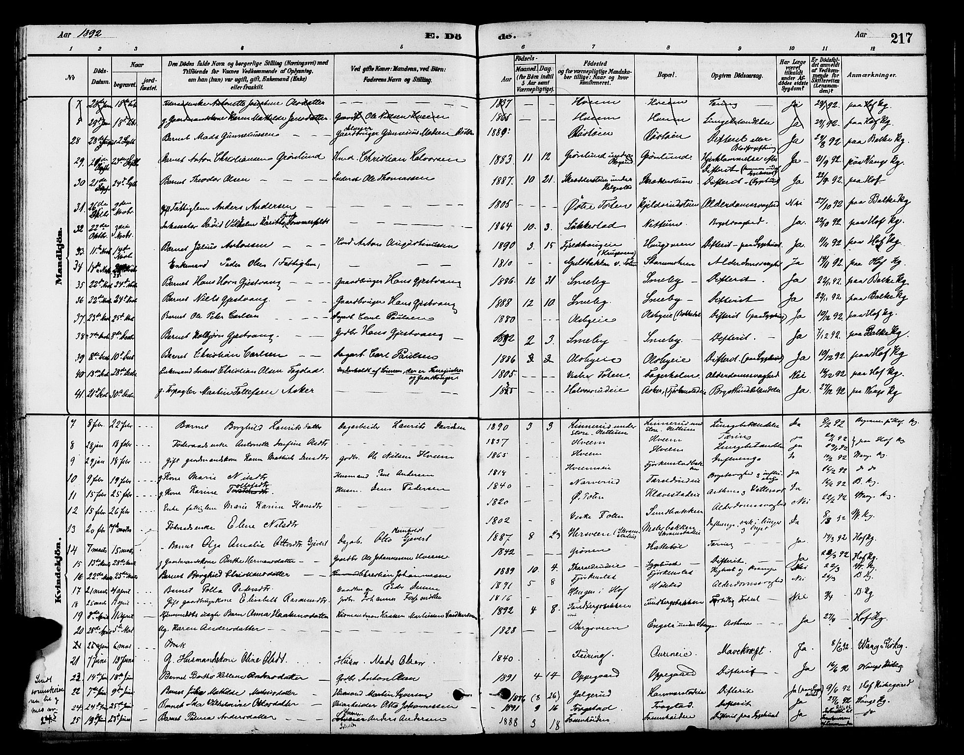 Østre Toten prestekontor, SAH/PREST-104/H/Ha/Haa/L0007: Parish register (official) no. 7, 1881-1896, p. 217