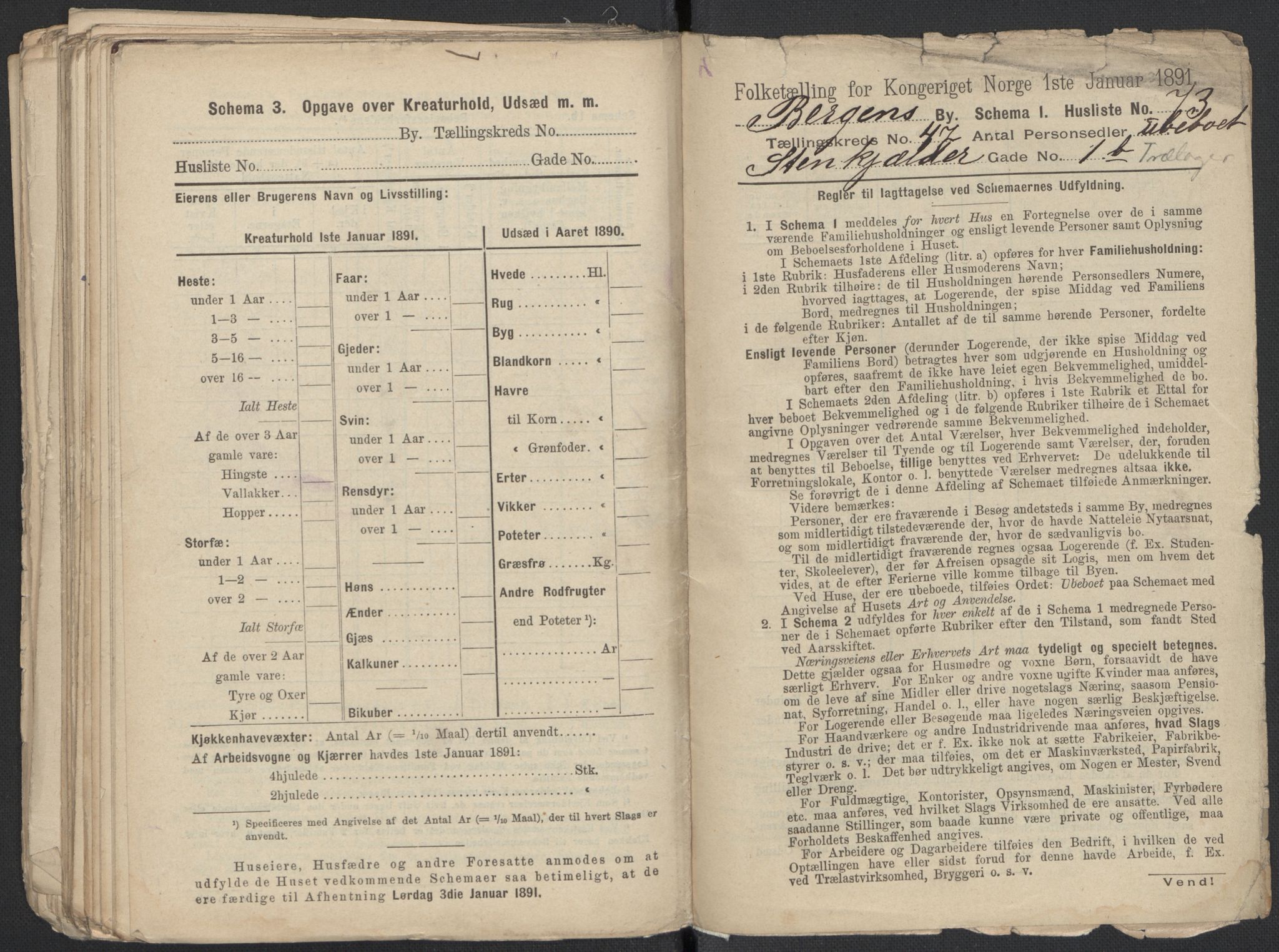 RA, 1891 Census for 1301 Bergen, 1891, p. 7796