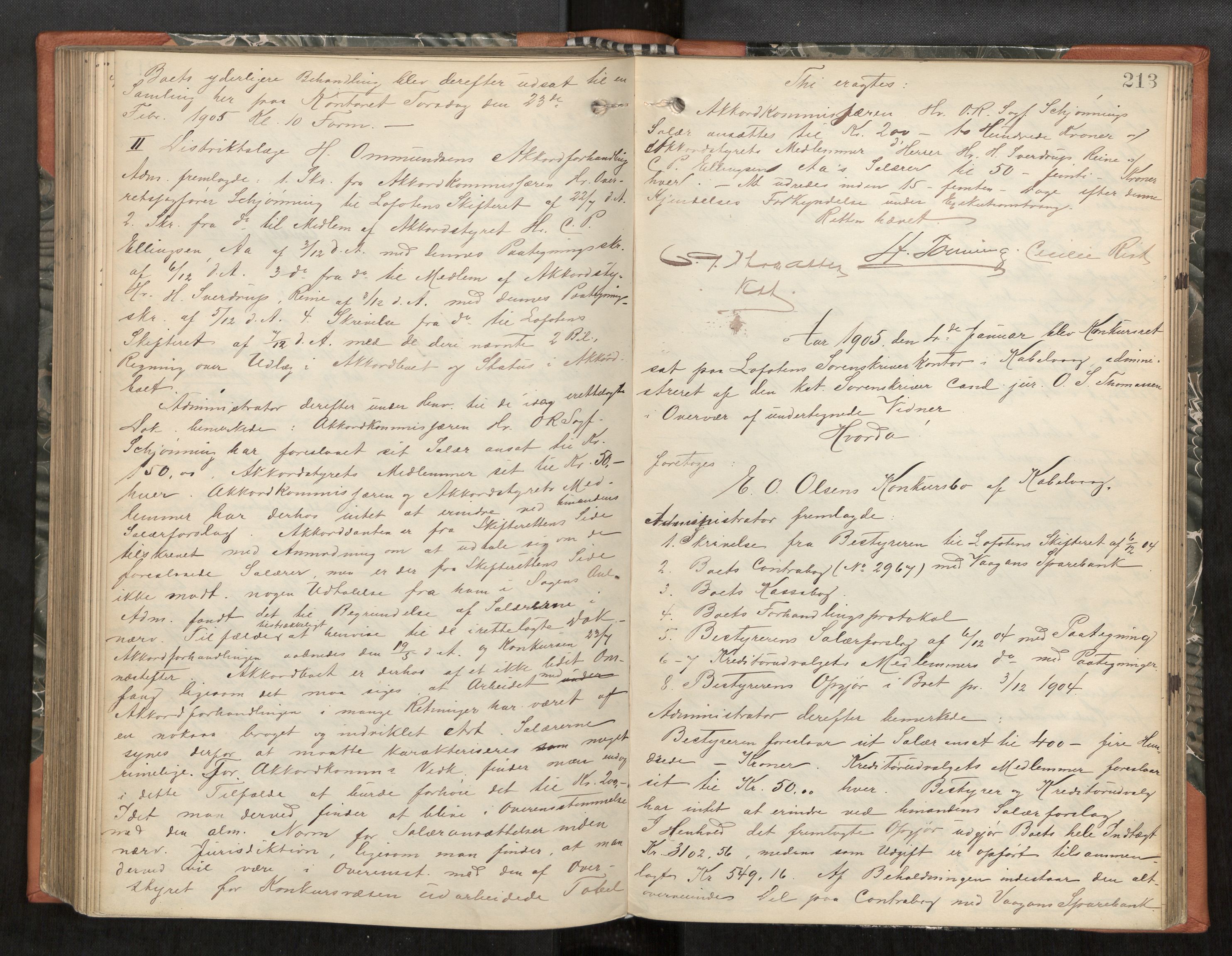 Lofoten sorenskriveri, AV/SAT-A-0017/1/3/3B/L0005: Skifteforhandlings-protokoll, 1901-1905, p. 213