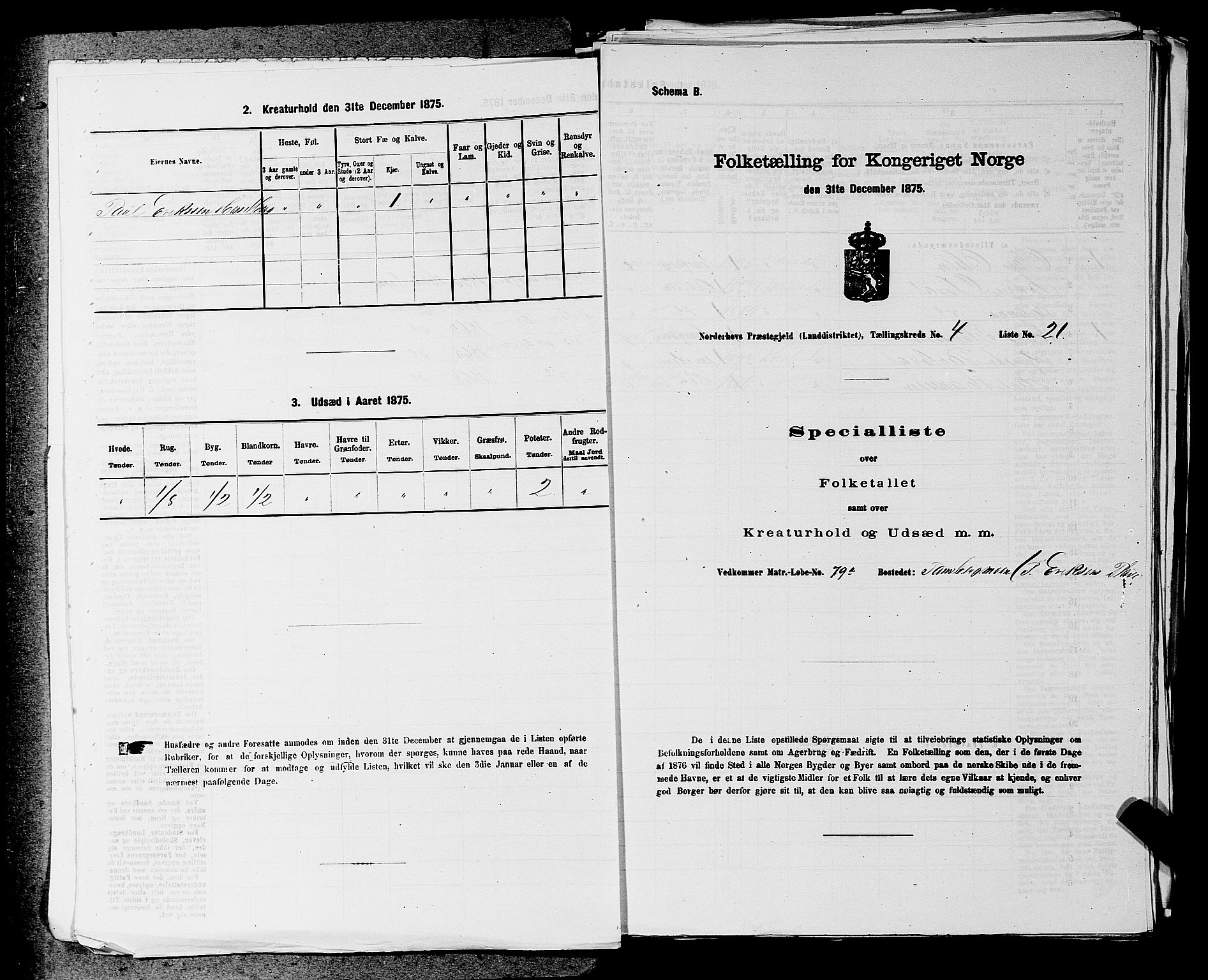 SAKO, 1875 census for 0613L Norderhov/Norderhov, Haug og Lunder, 1875, p. 636