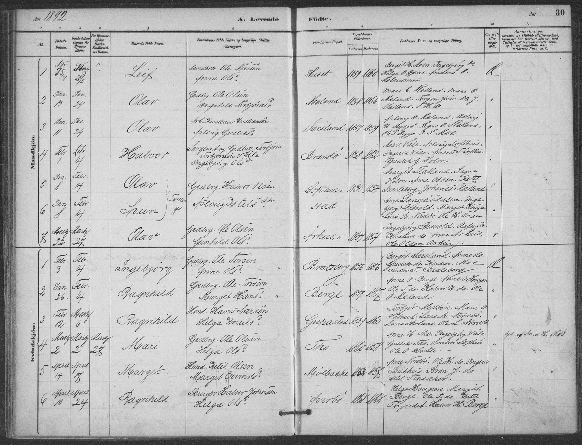 Hjartdal kirkebøker, SAKO/A-270/F/Fa/L0010: Parish register (official) no. I 10, 1880-1929, p. 30