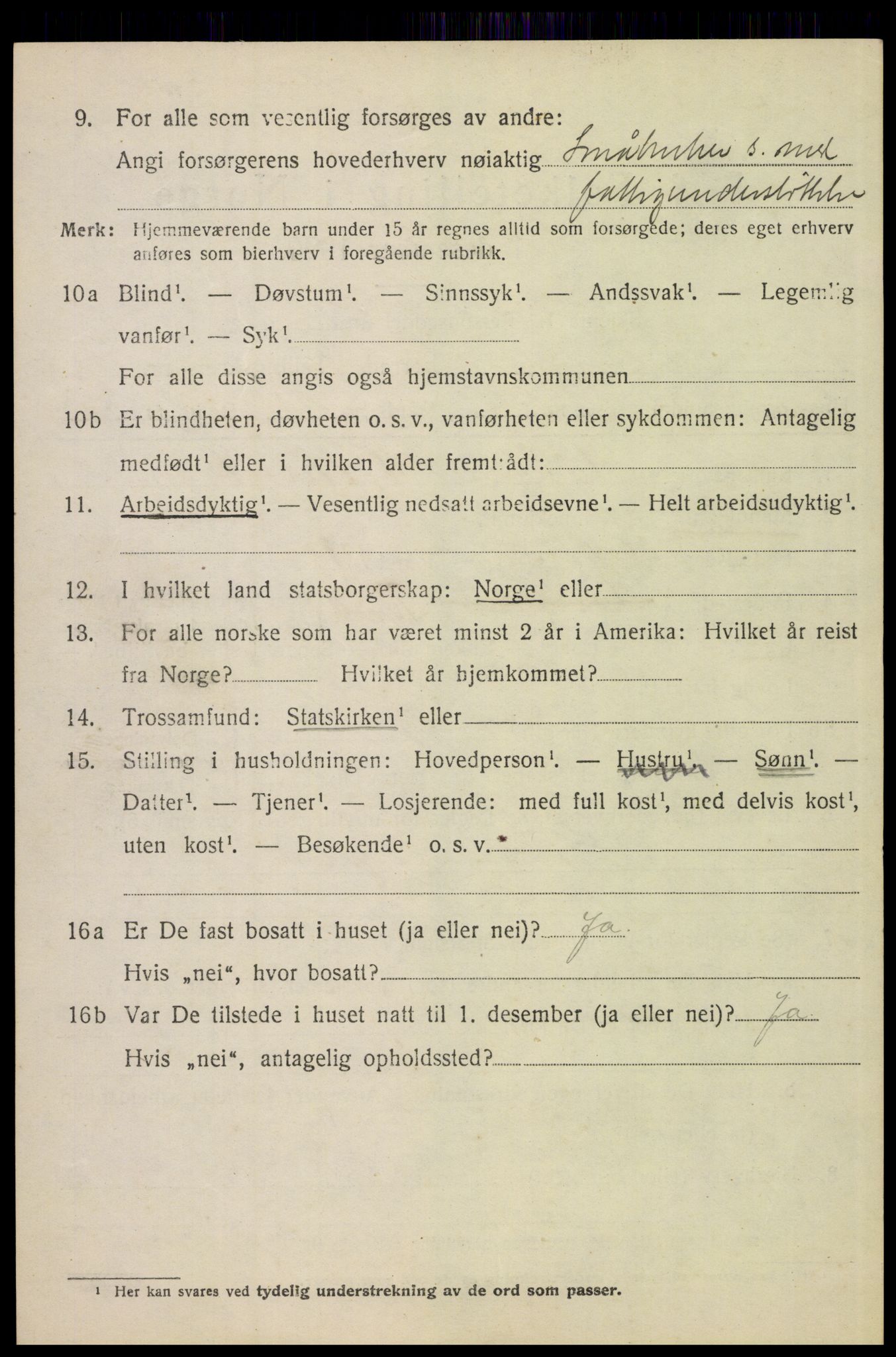 SAH, 1920 census for Tynset, 1920, p. 8495