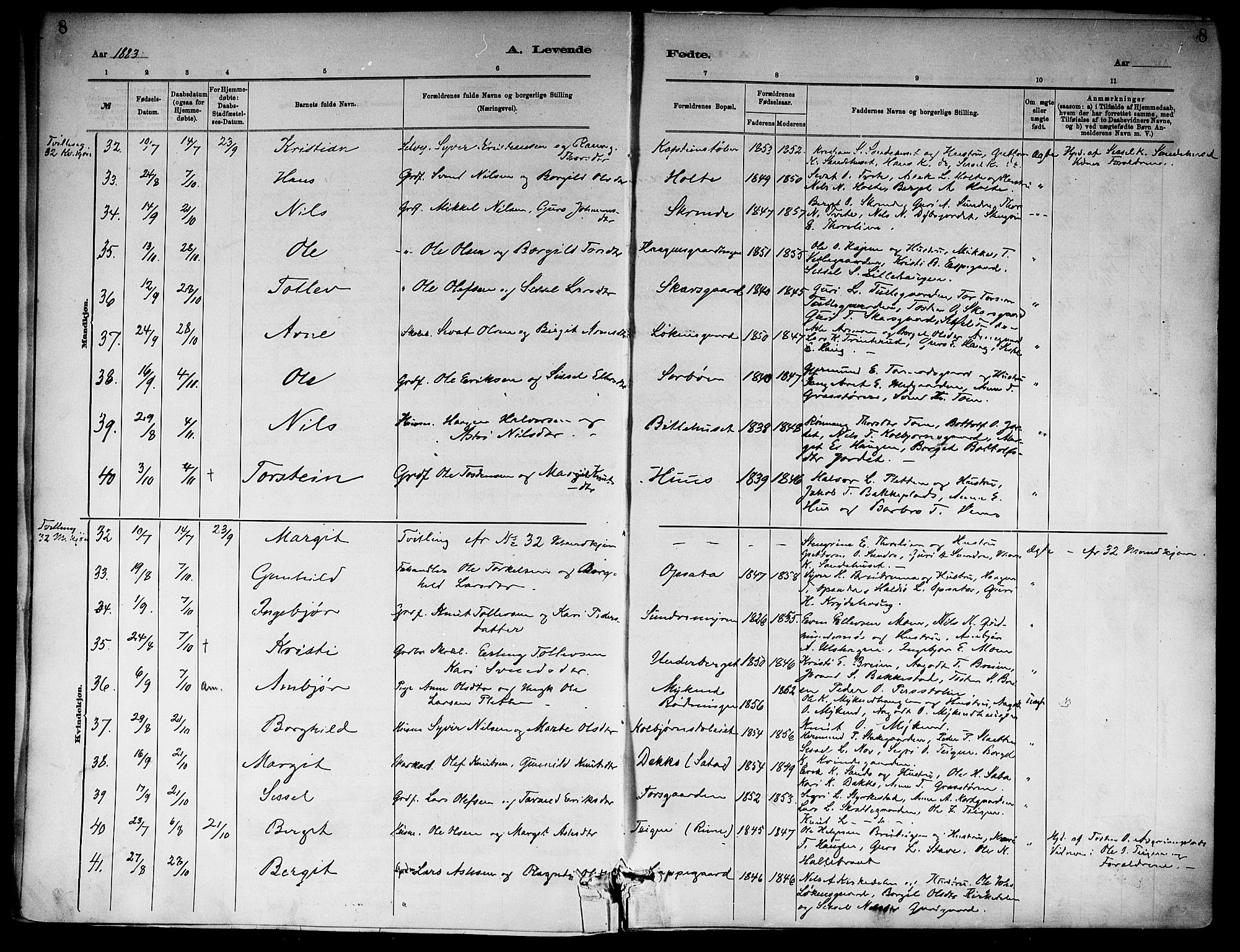 Ål kirkebøker, SAKO/A-249/F/Fa/L0008: Parish register (official) no. I 8, 1882-1896, p. 8