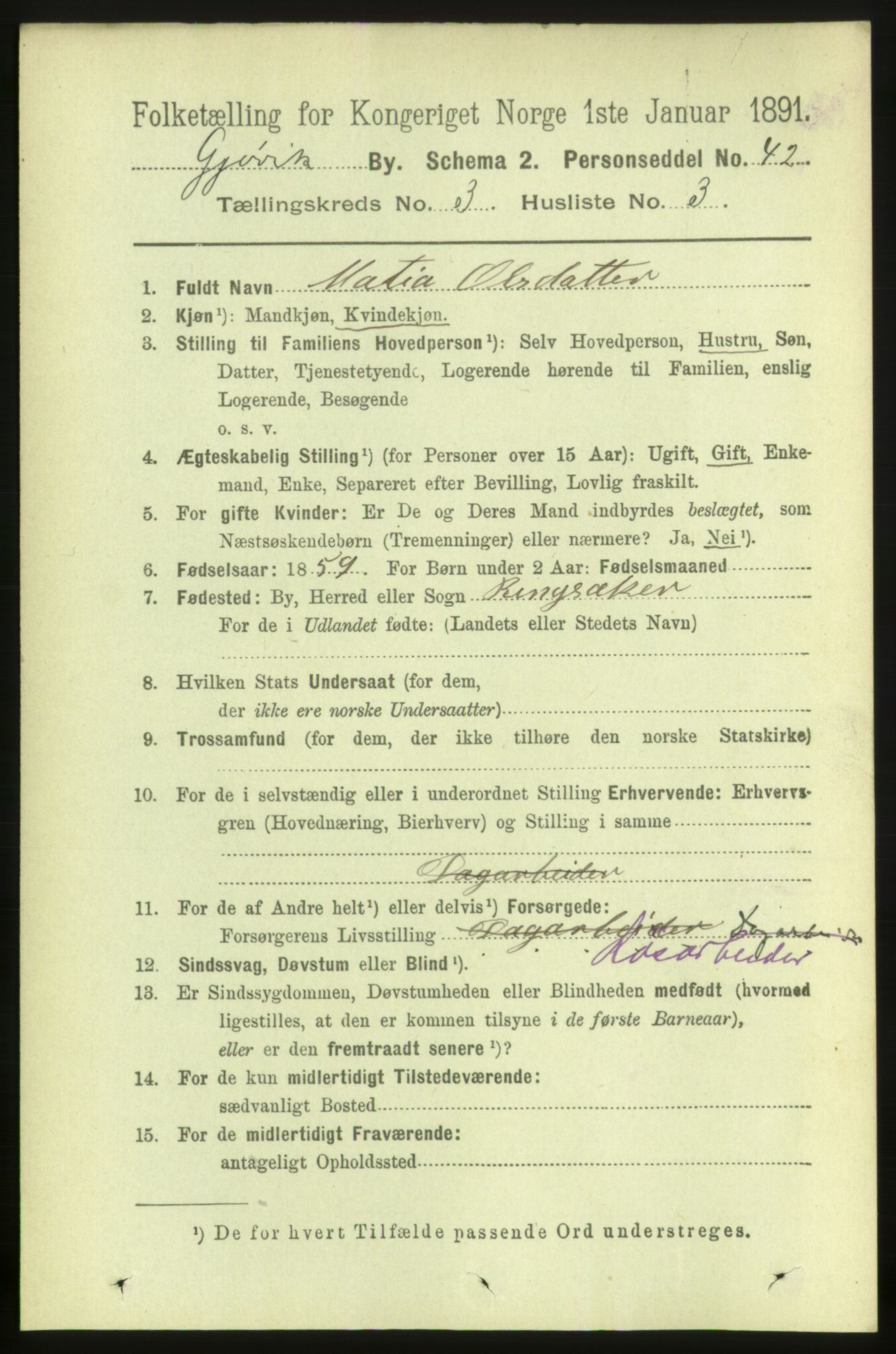 RA, 1891 census for 0502 Gjøvik, 1891, p. 1053