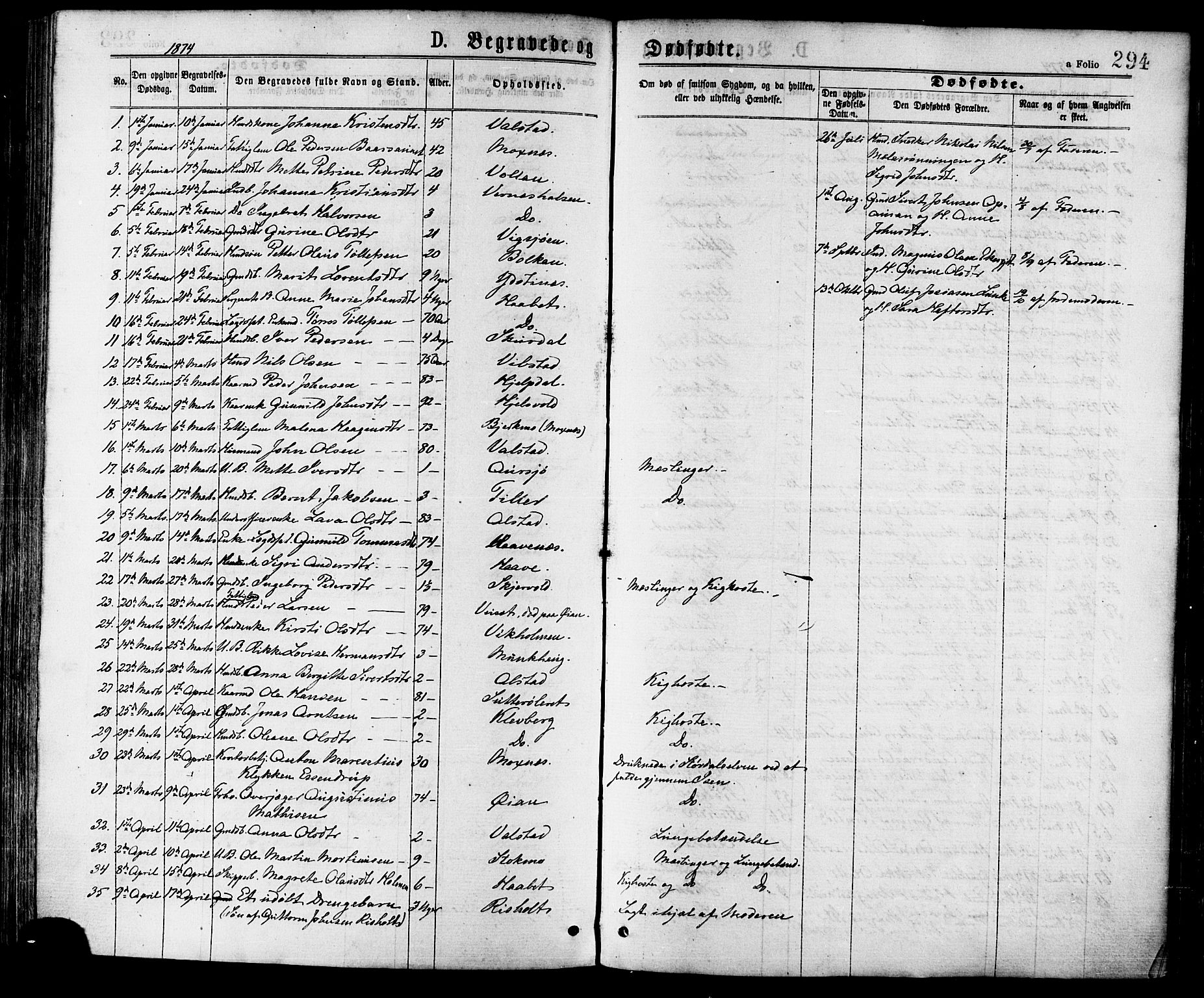 Ministerialprotokoller, klokkerbøker og fødselsregistre - Nord-Trøndelag, AV/SAT-A-1458/709/L0076: Parish register (official) no. 709A16, 1871-1879, p. 294