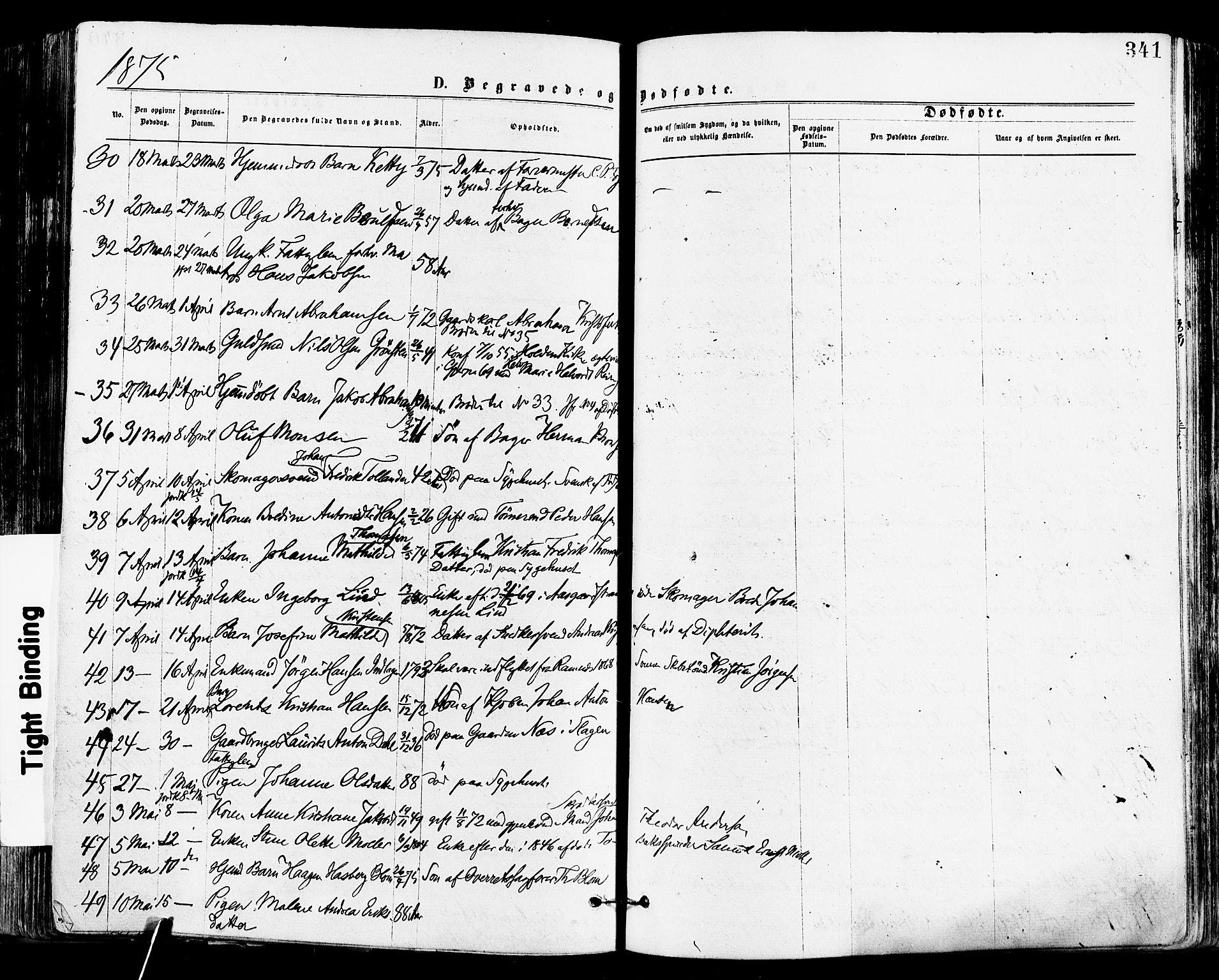 Tønsberg kirkebøker, AV/SAKO-A-330/F/Fa/L0010: Parish register (official) no. I 10, 1874-1880, p. 341