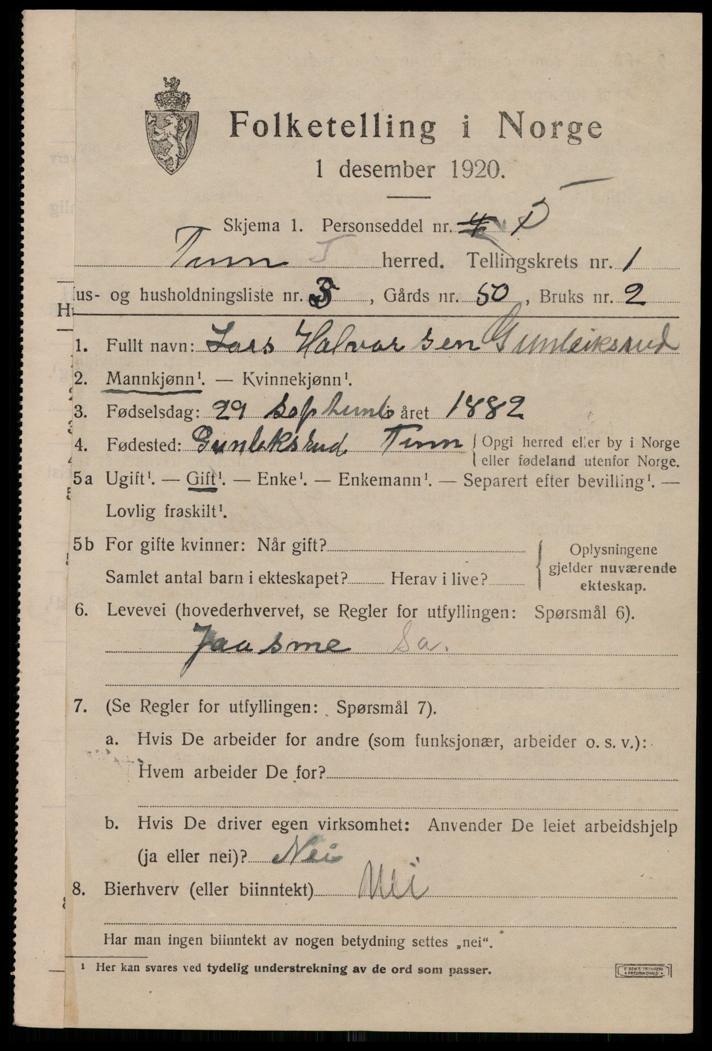 SAKO, 1920 census for Tinn, 1920, p. 2718