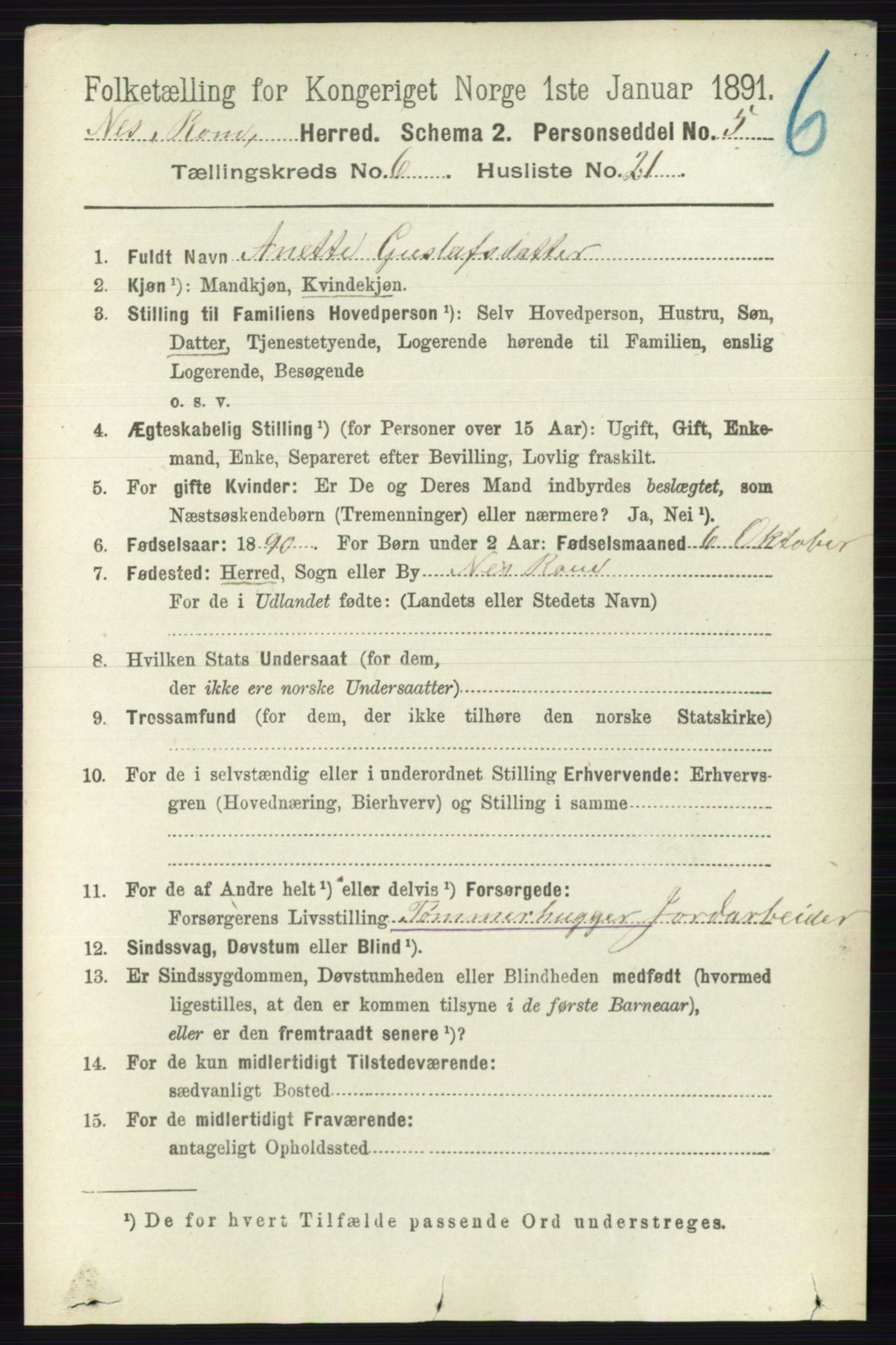 RA, 1891 census for 0236 Nes, 1891, p. 3503