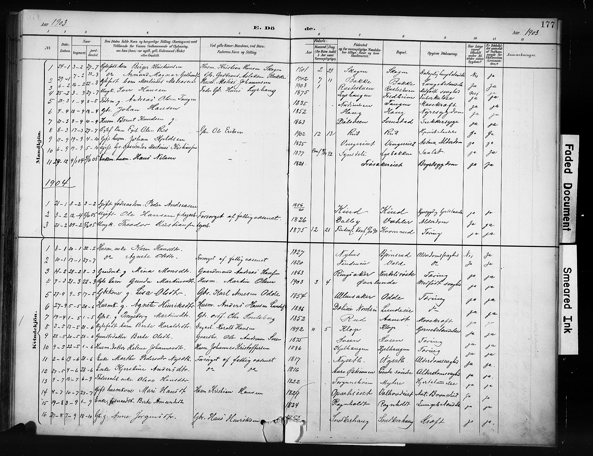 Nordre Land prestekontor, AV/SAH-PREST-124/H/Ha/Hab/L0012: Parish register (copy) no. 12, 1891-1909, p. 177