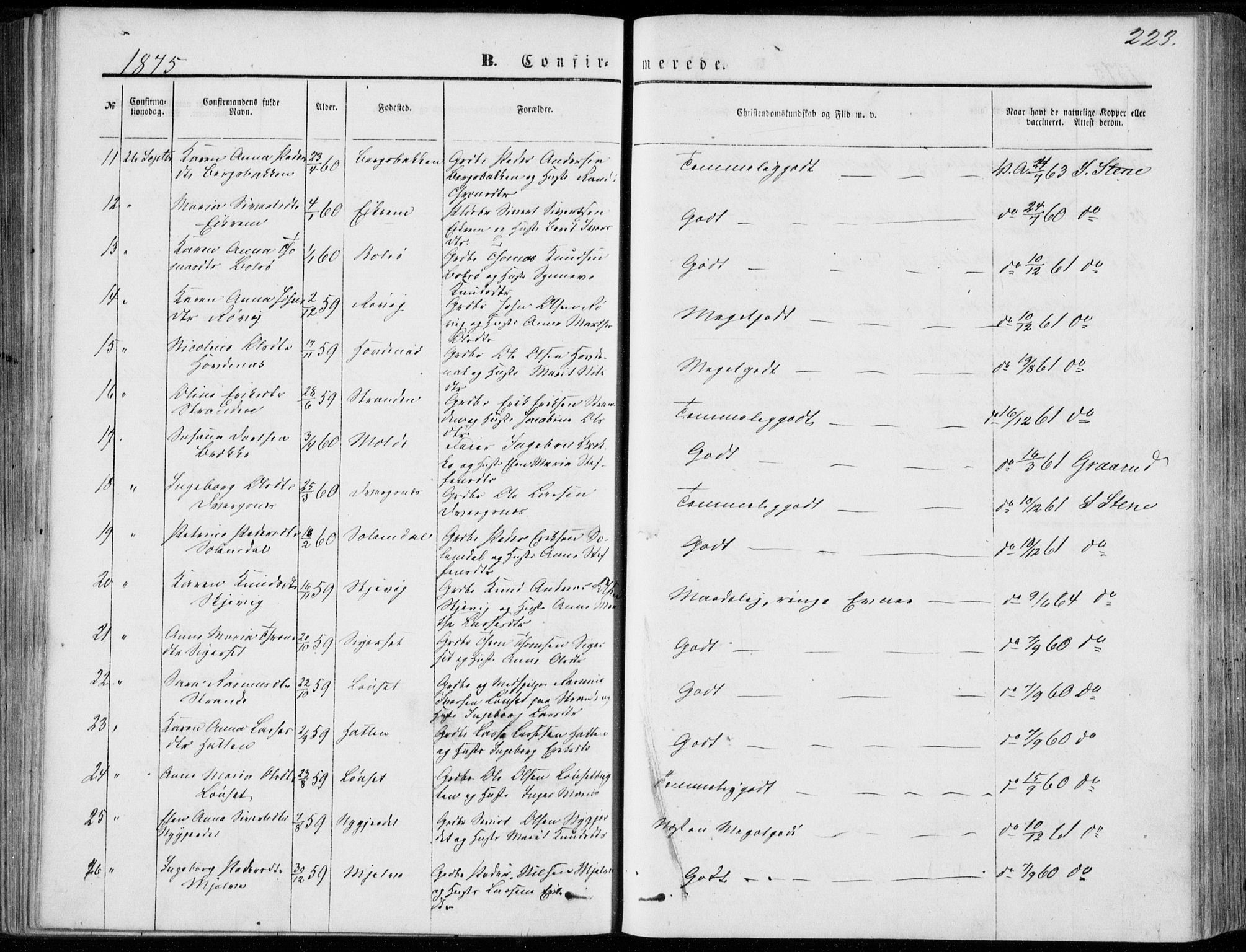 Ministerialprotokoller, klokkerbøker og fødselsregistre - Møre og Romsdal, AV/SAT-A-1454/555/L0655: Parish register (official) no. 555A05, 1869-1886, p. 223