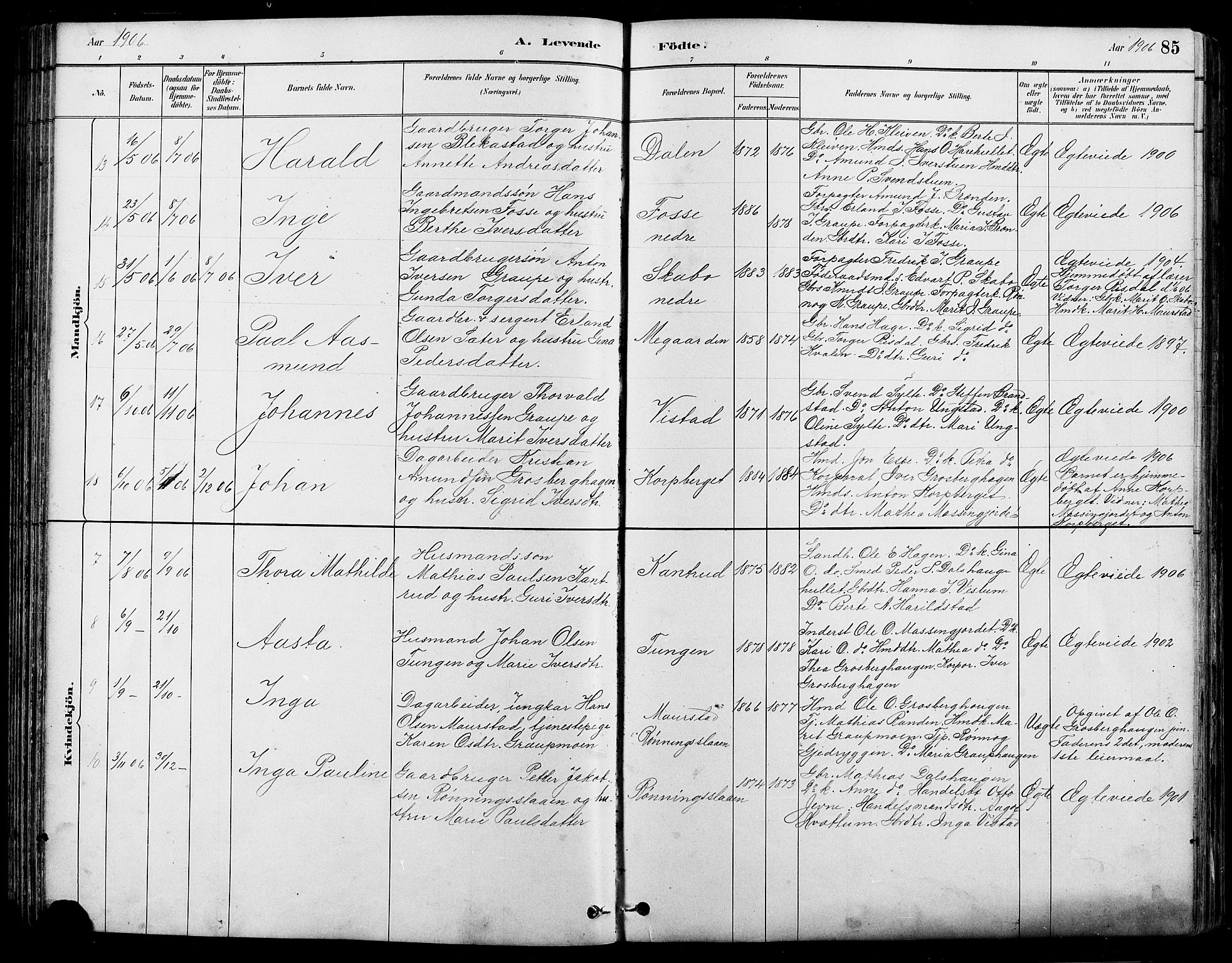 Nord-Fron prestekontor, SAH/PREST-080/H/Ha/Hab/L0005: Parish register (copy) no. 5, 1884-1914, p. 85