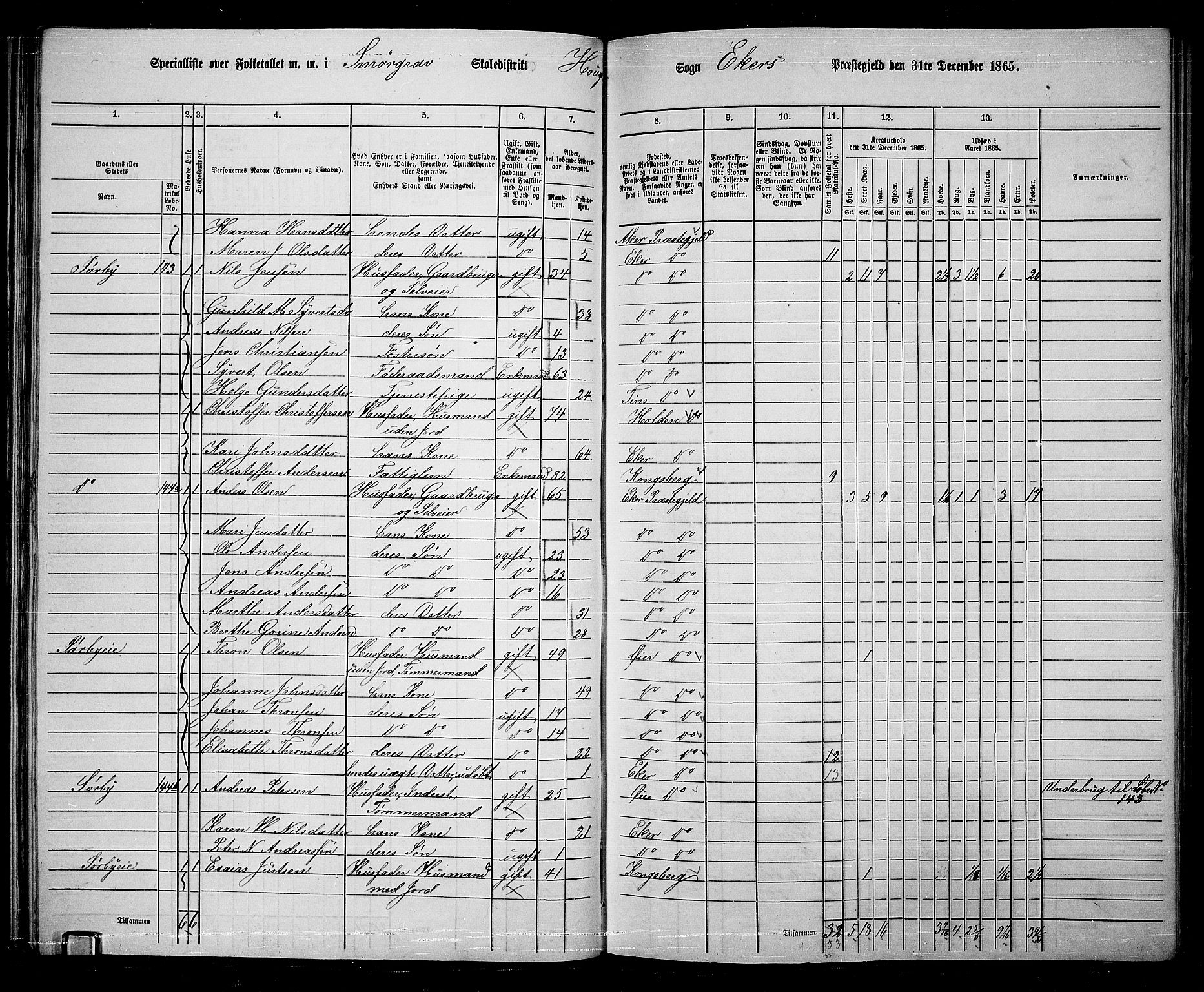 RA, 1865 census for Eiker, 1865, p. 46