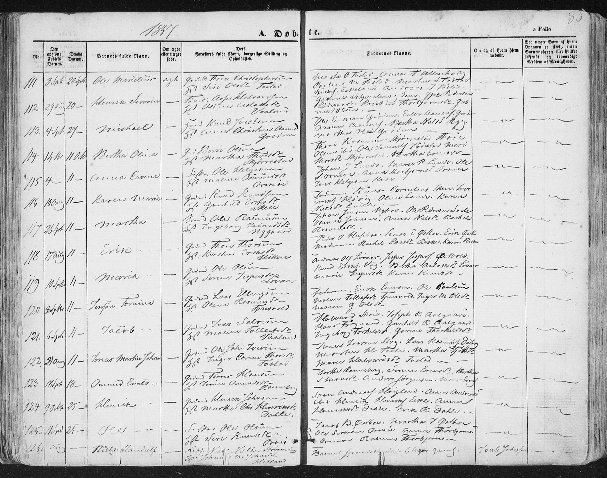 Hetland sokneprestkontor, AV/SAST-A-101826/30/30BA/L0002: Parish register (official) no. A 2, 1849-1869, p. 85