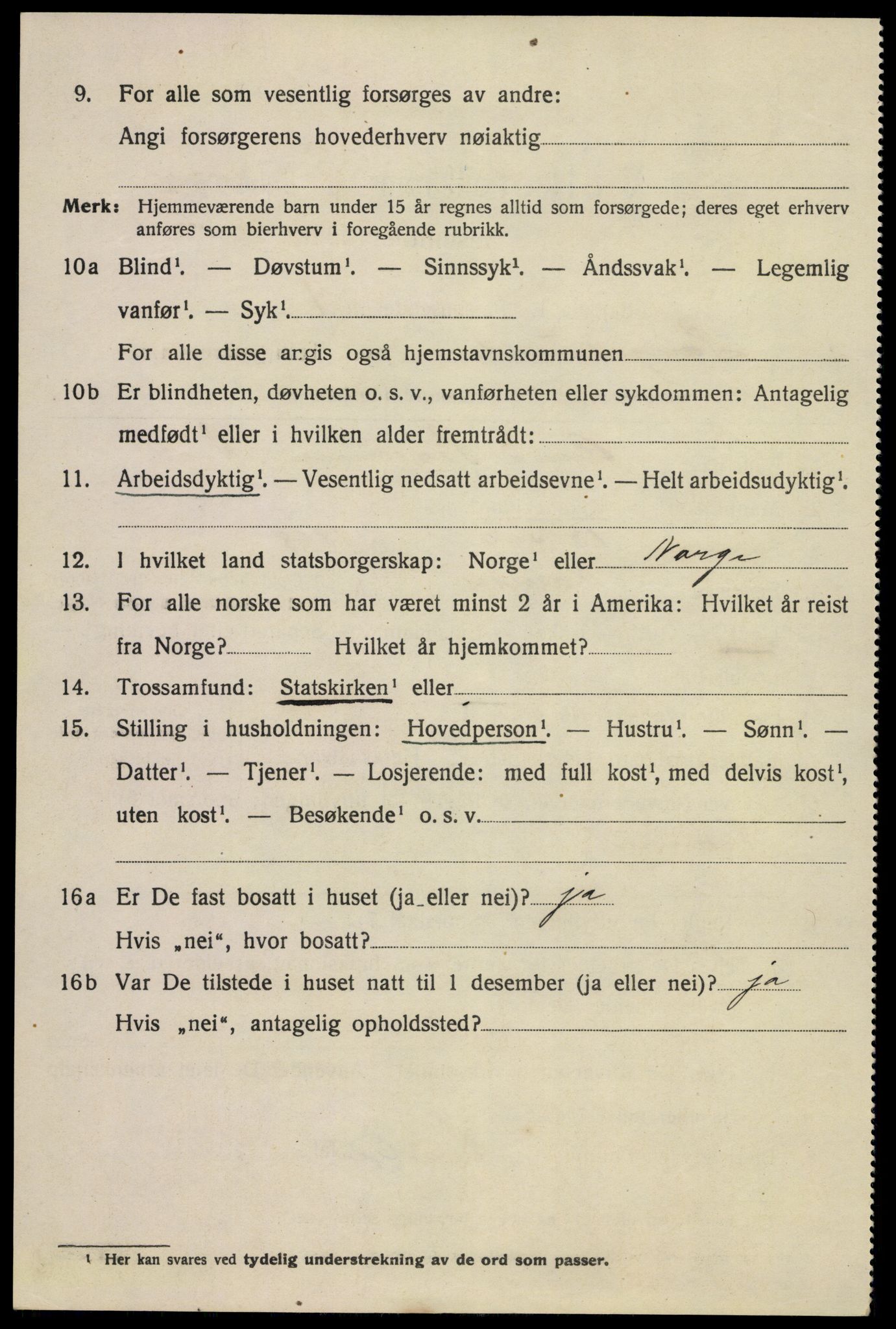 SAKO, 1920 census for Langesund, 1920, p. 2738